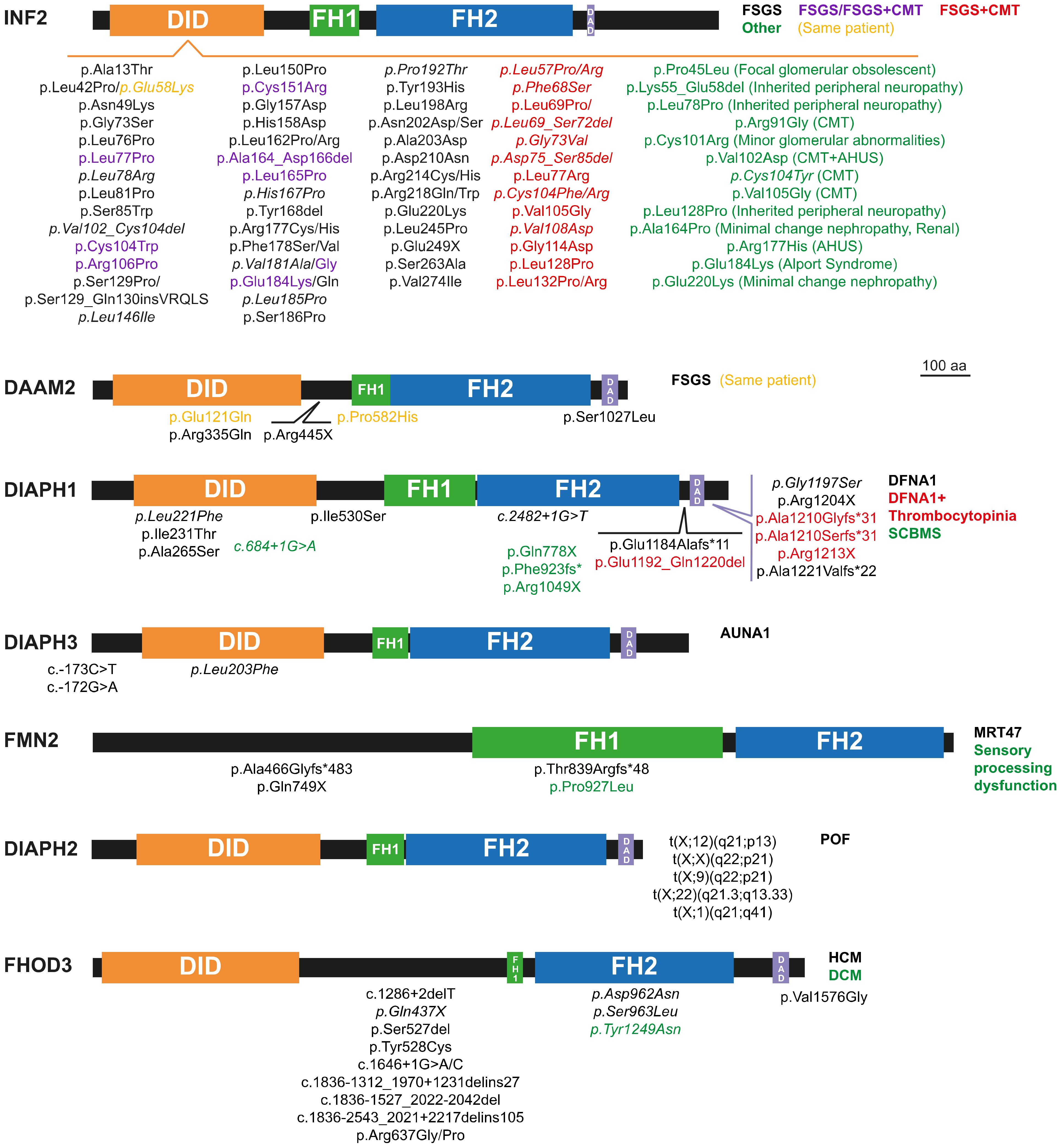 Cells 10 02554 g002