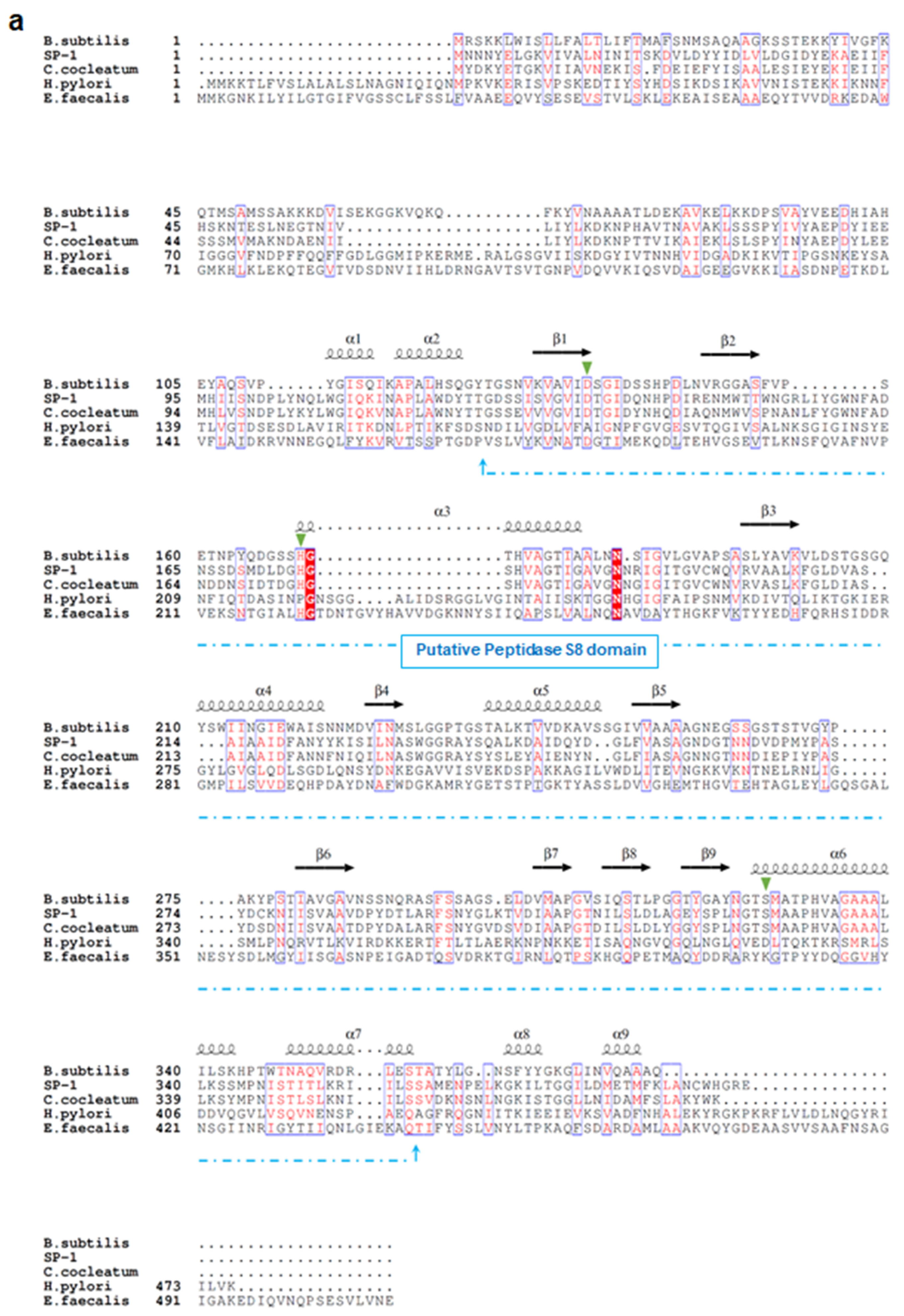 Cells 10 02658 g001a