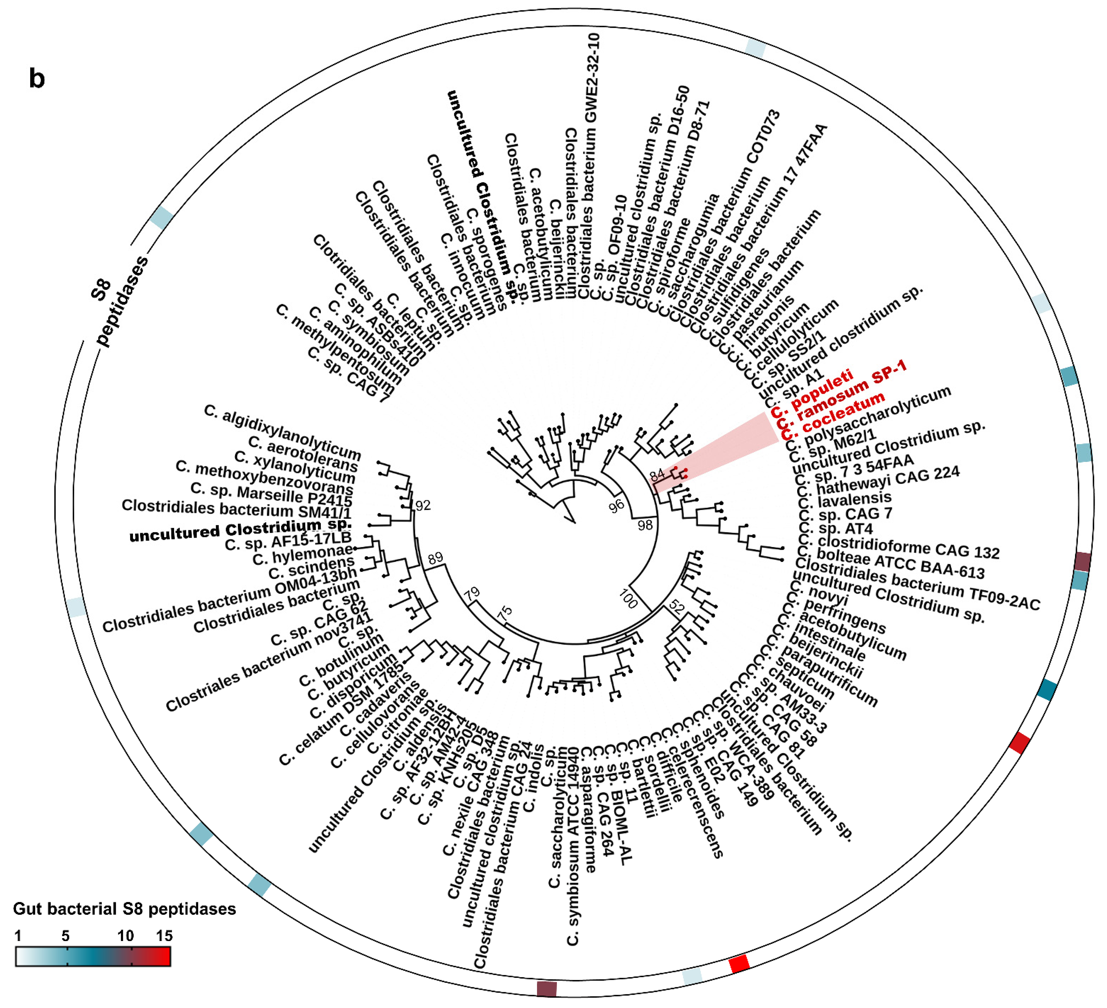 Cells 10 02658 g001b