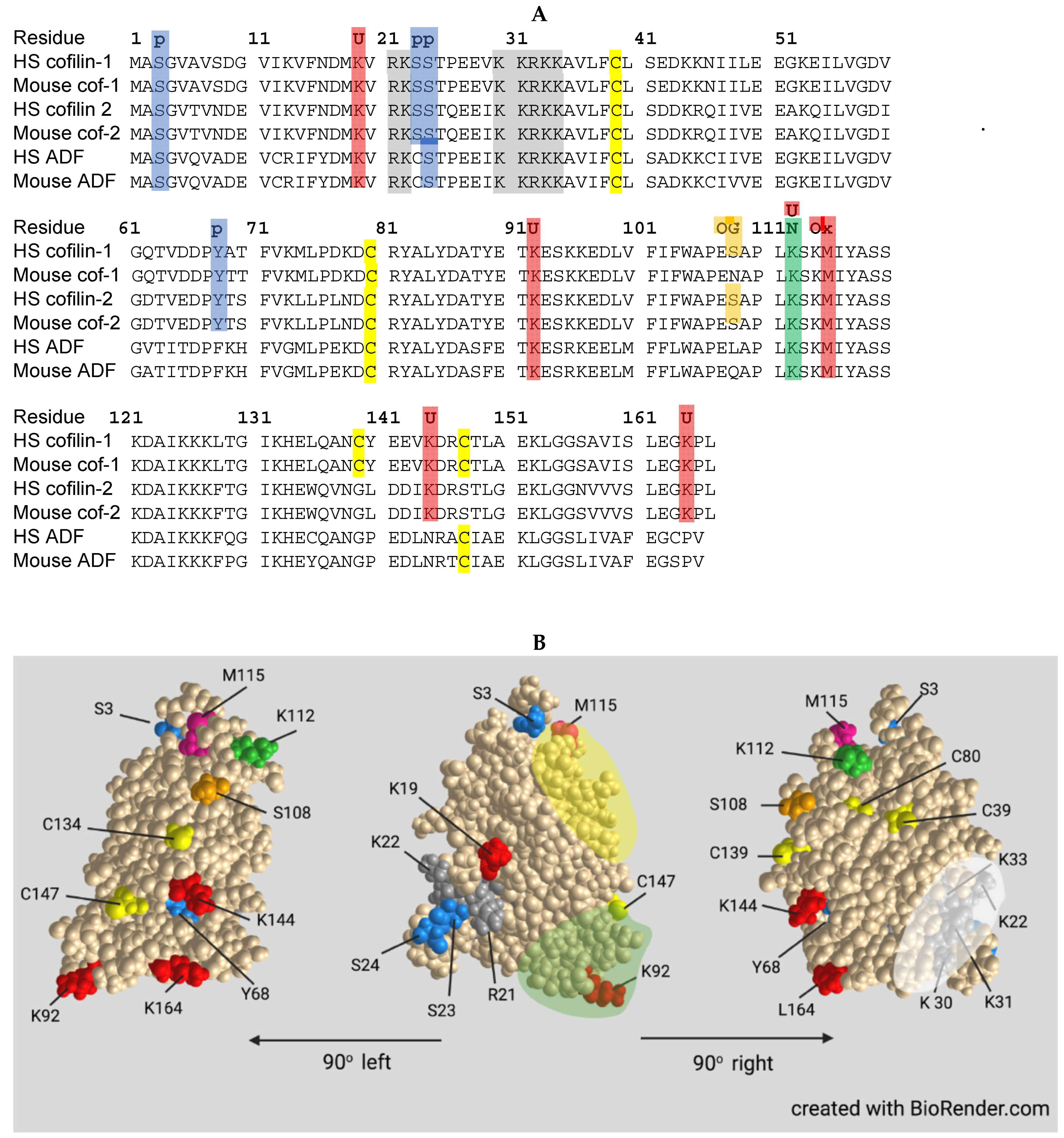 Cells 10 02726 g004 Cells 10 02726 g004