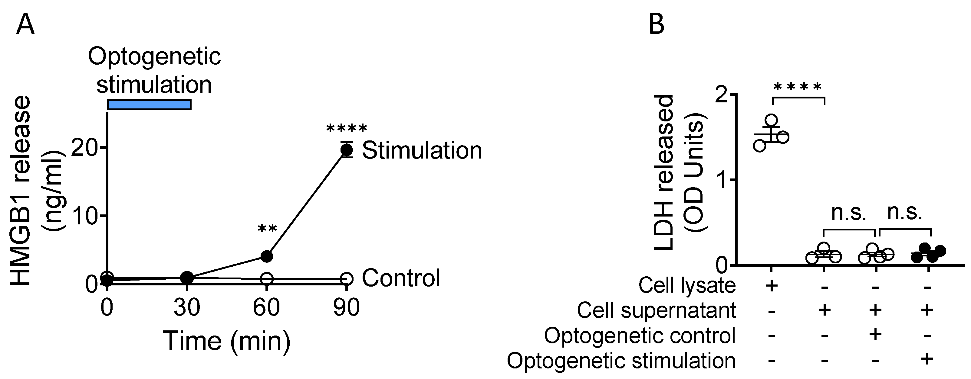 Cells 10 02791 g002 Cells 10 02791 g002