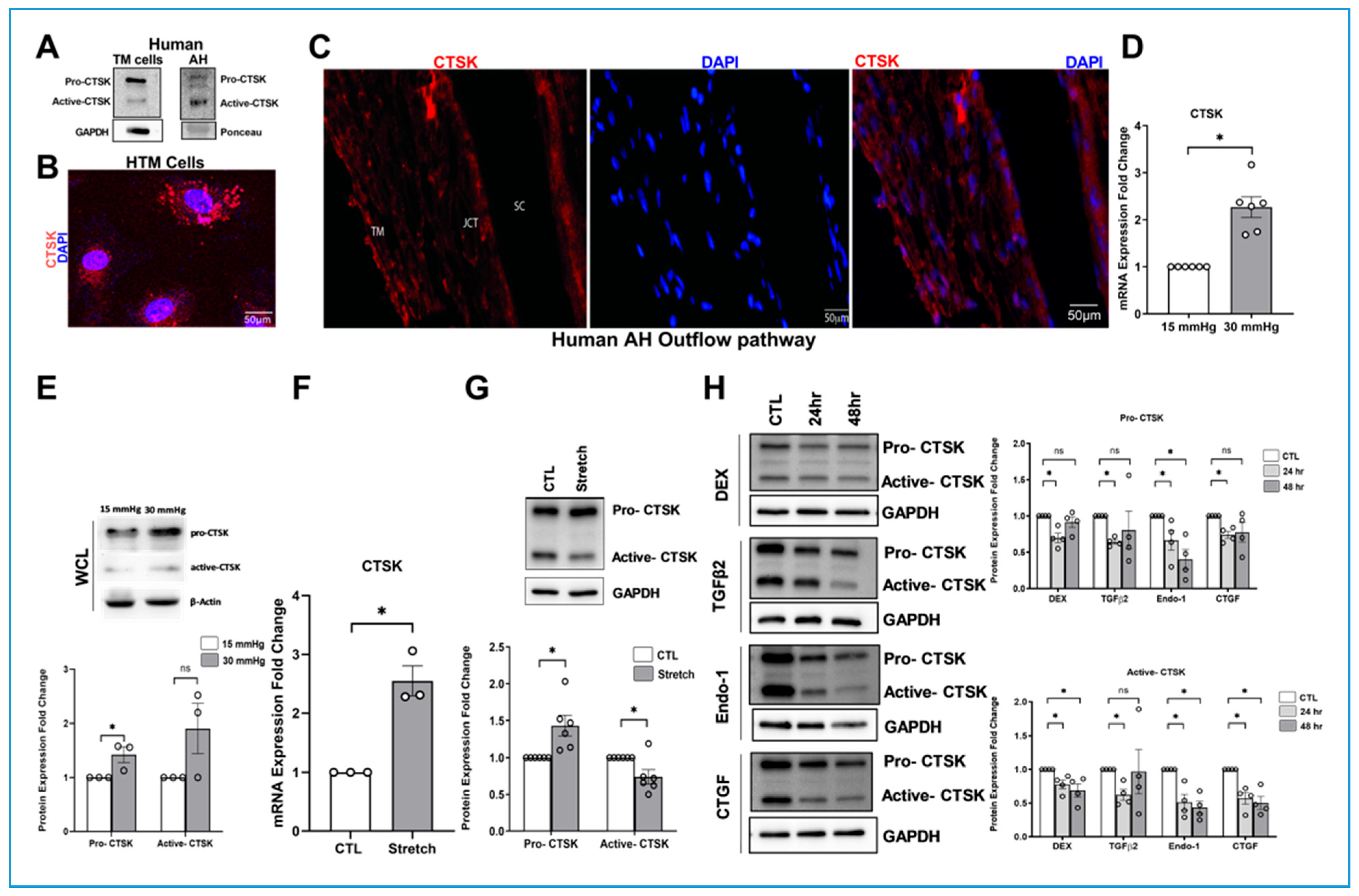 Cells 10 02864 g001 Cells 10 02864 g001