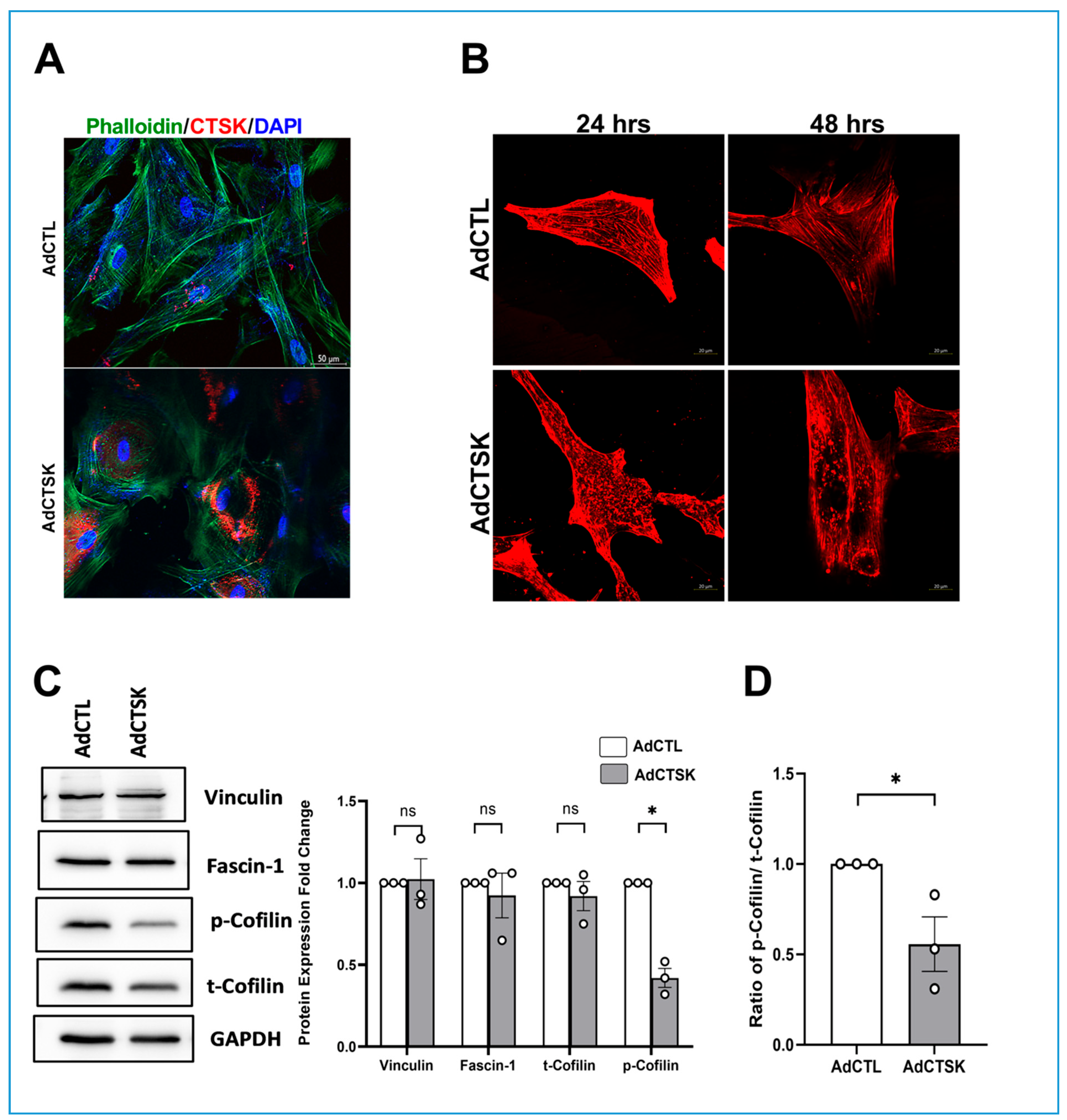 Cells 10 02864 g006 Cells 10 02864 g006
