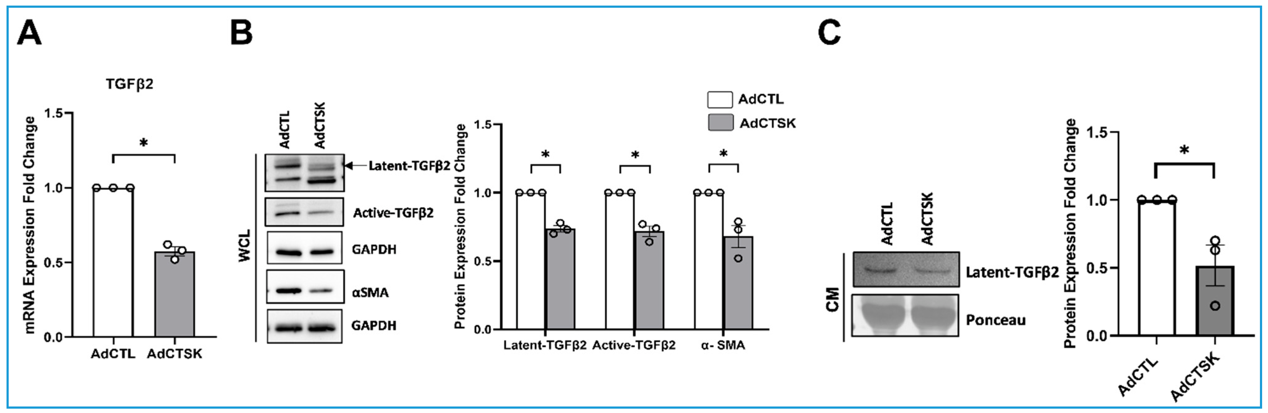 Cells 10 02864 g007 Cells 10 02864 g007