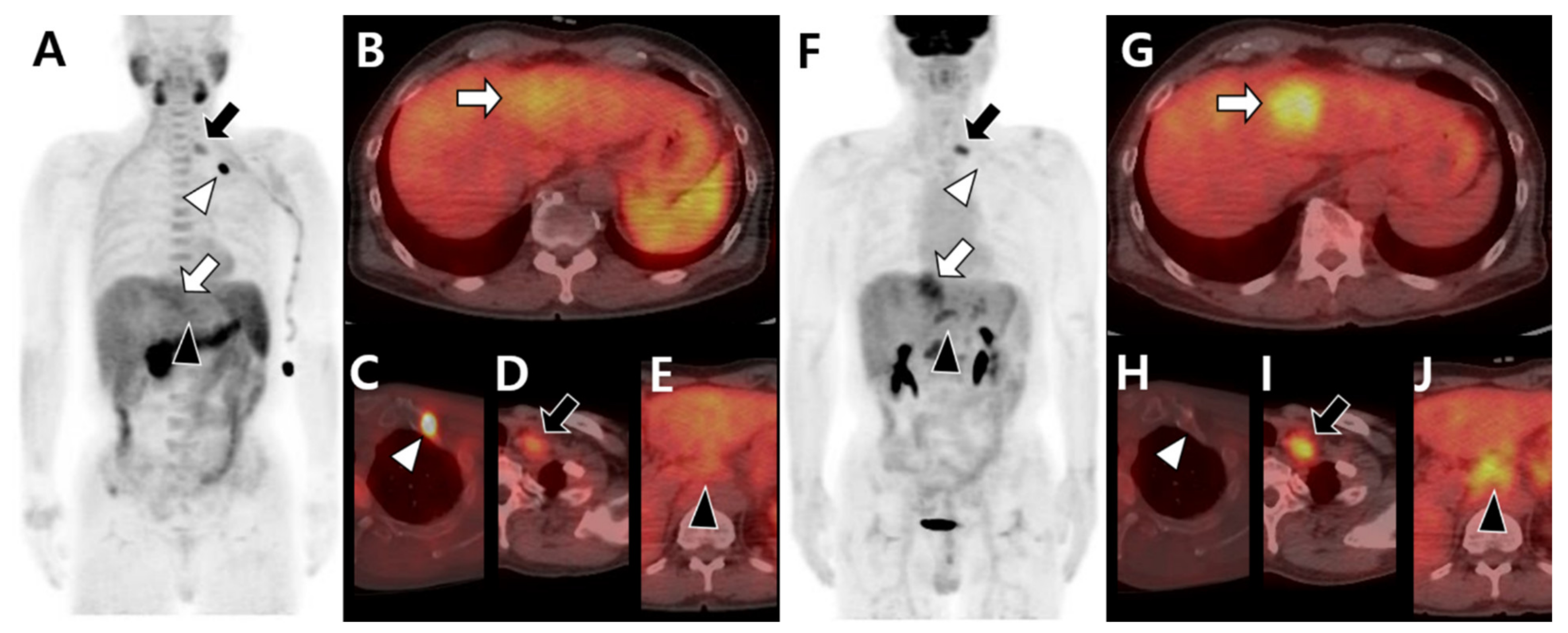 Cells 10 02877 g004 Cells 10 02877 g004