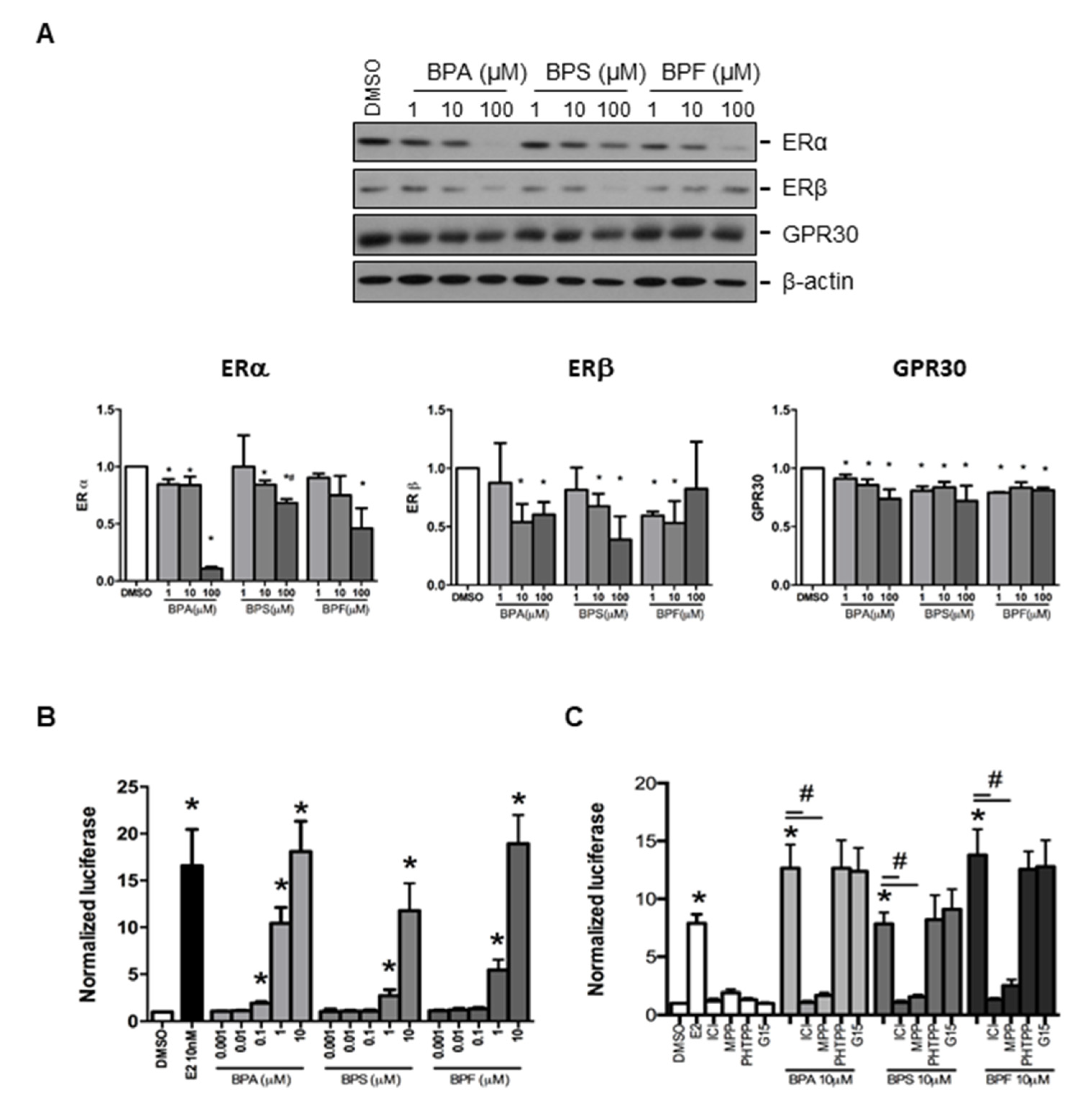 Cells 10 02882 g002 Cells 10 02882 g002