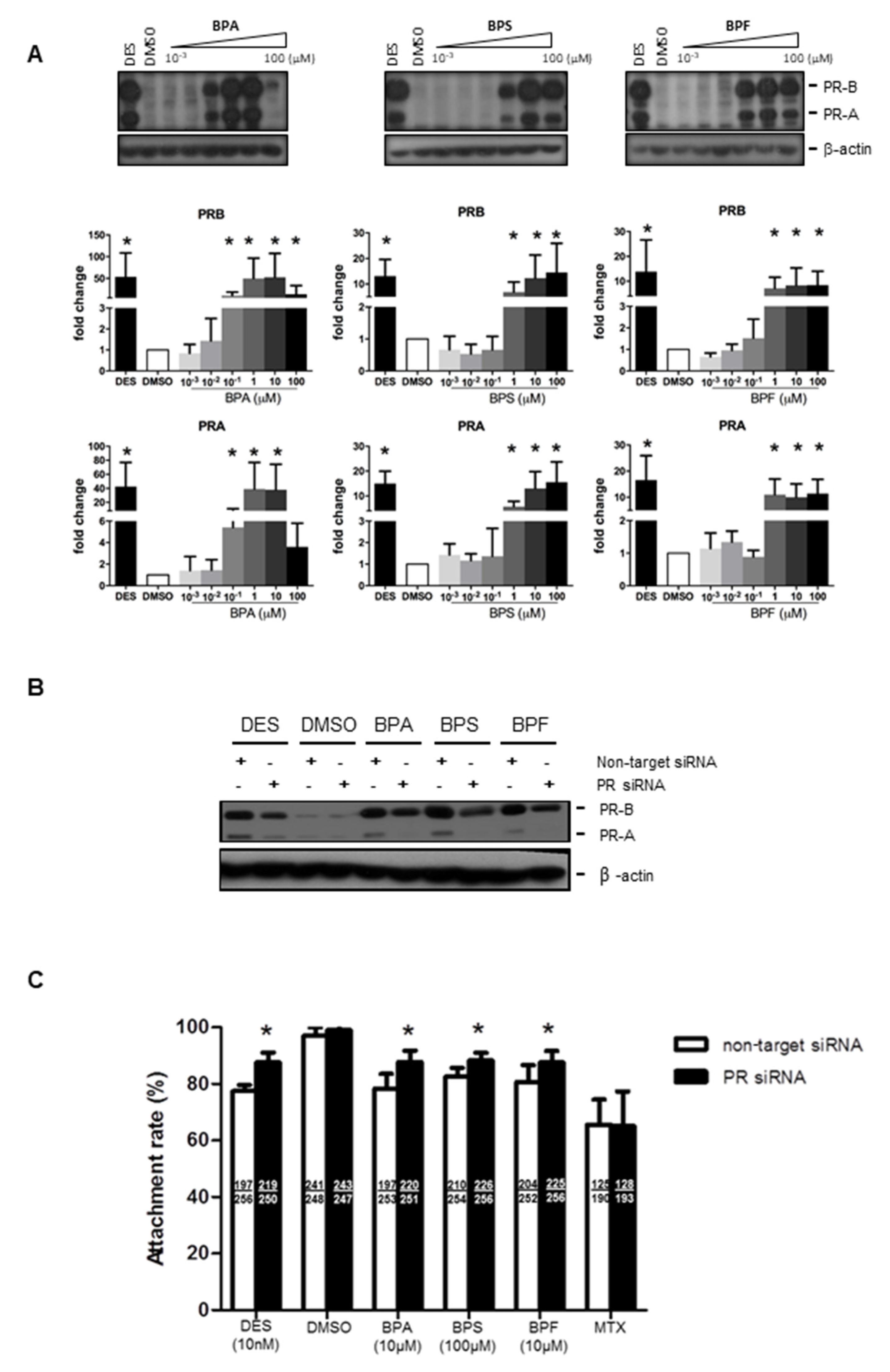Cells 10 02882 g003 Cells 10 02882 g003