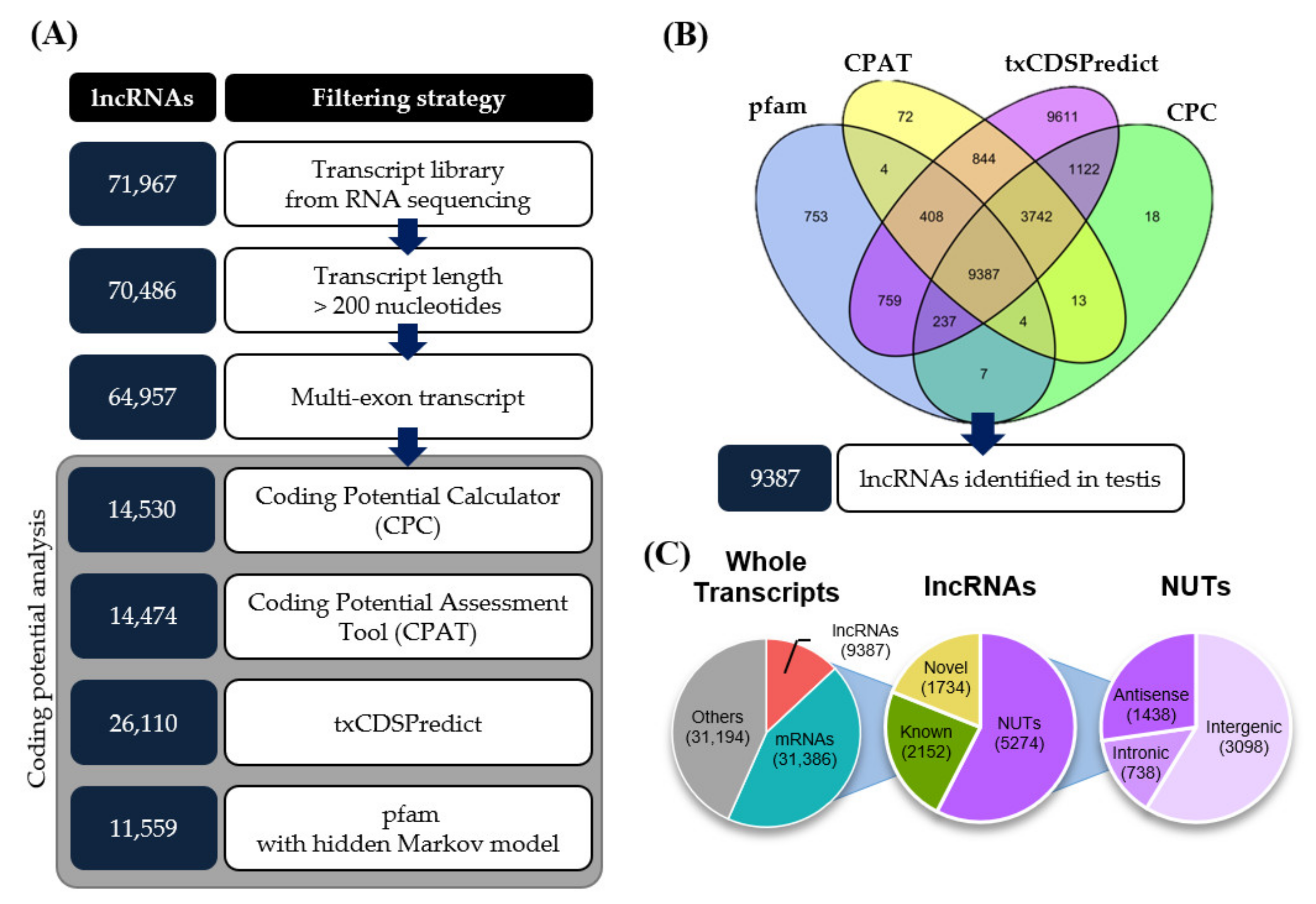 Cells 10 02895 g001 Cells 10 02895 g001