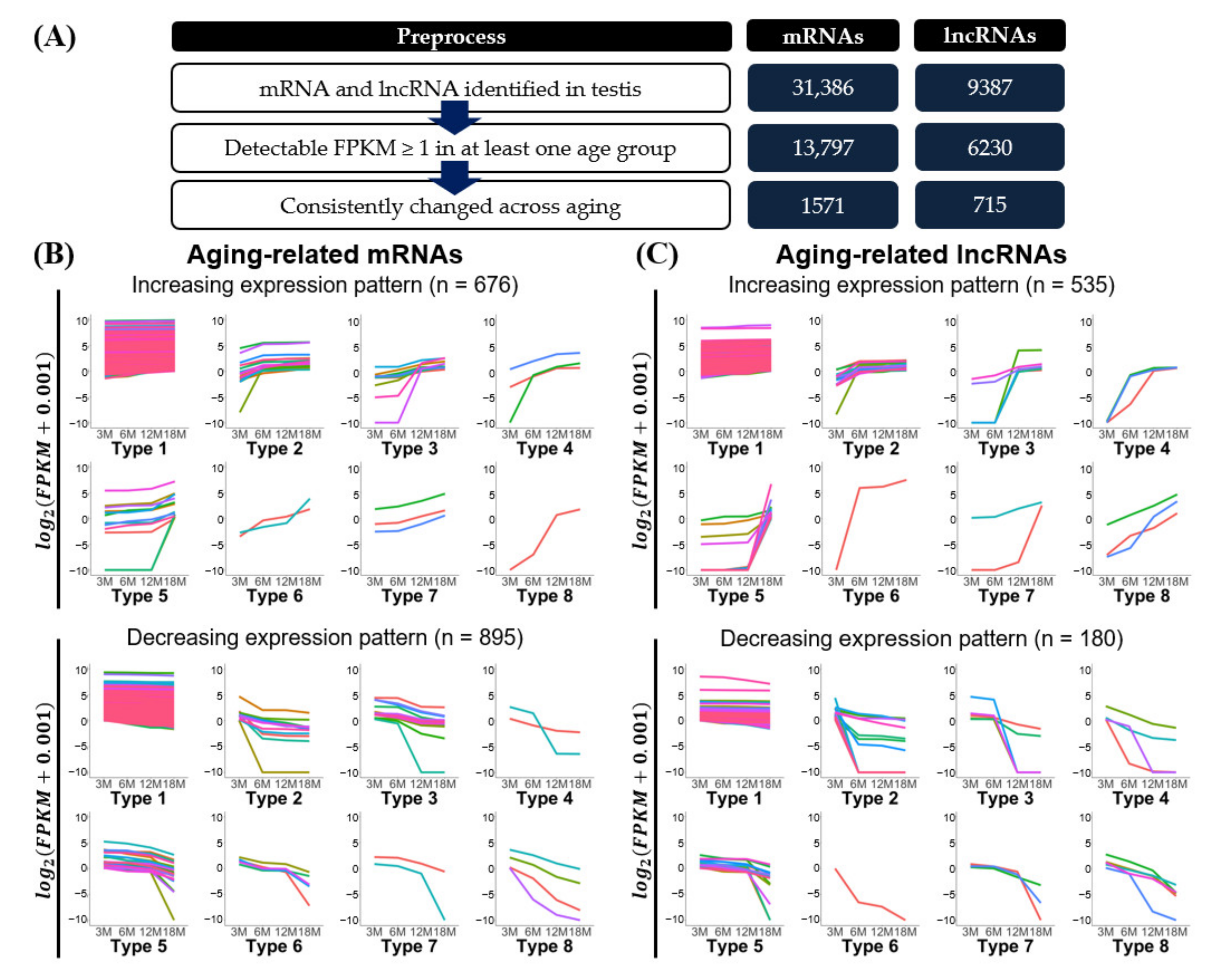 Cells 10 02895 g003 Cells 10 02895 g003