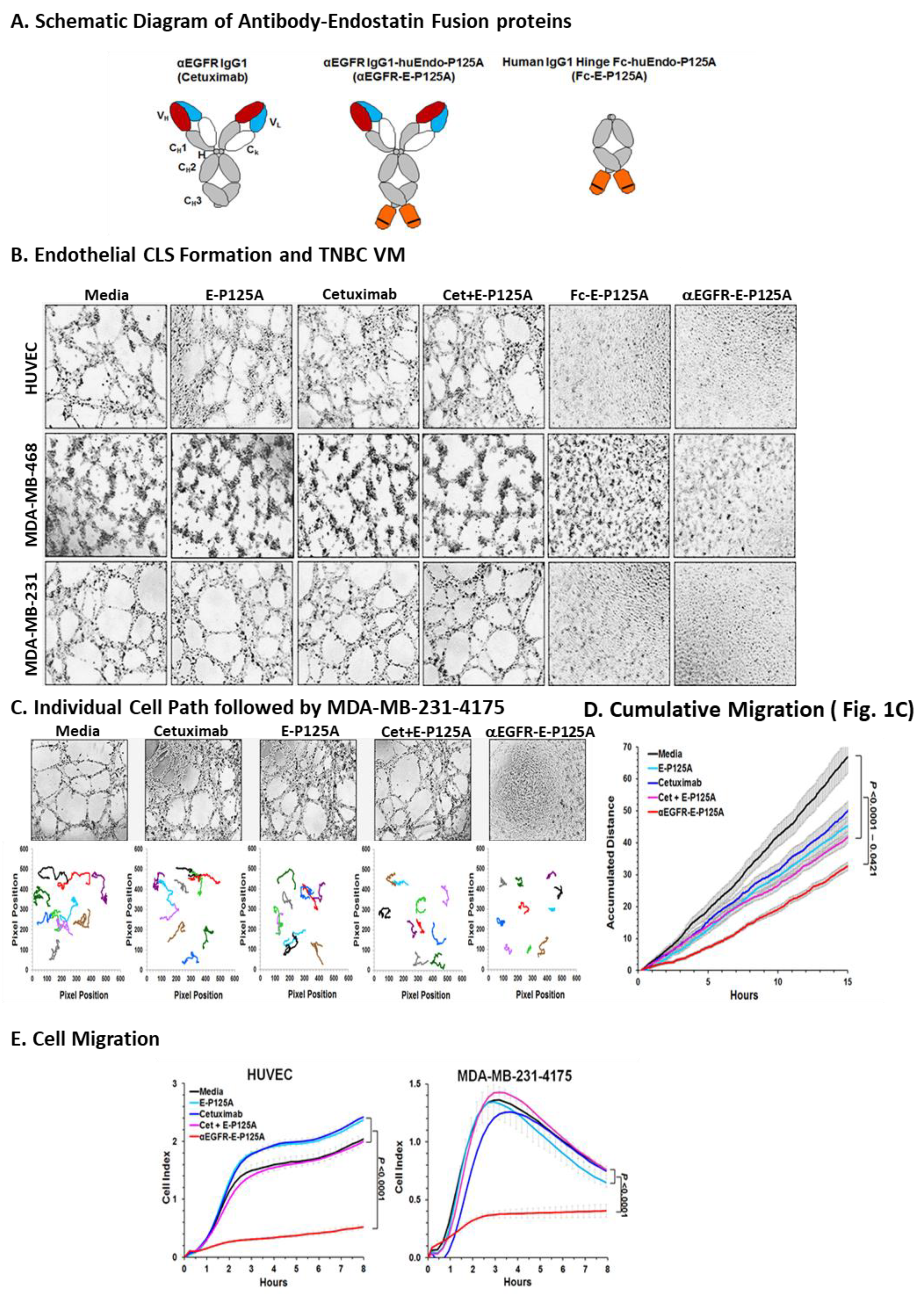 Cells 10 02904 g001 Cells 10 02904 g001