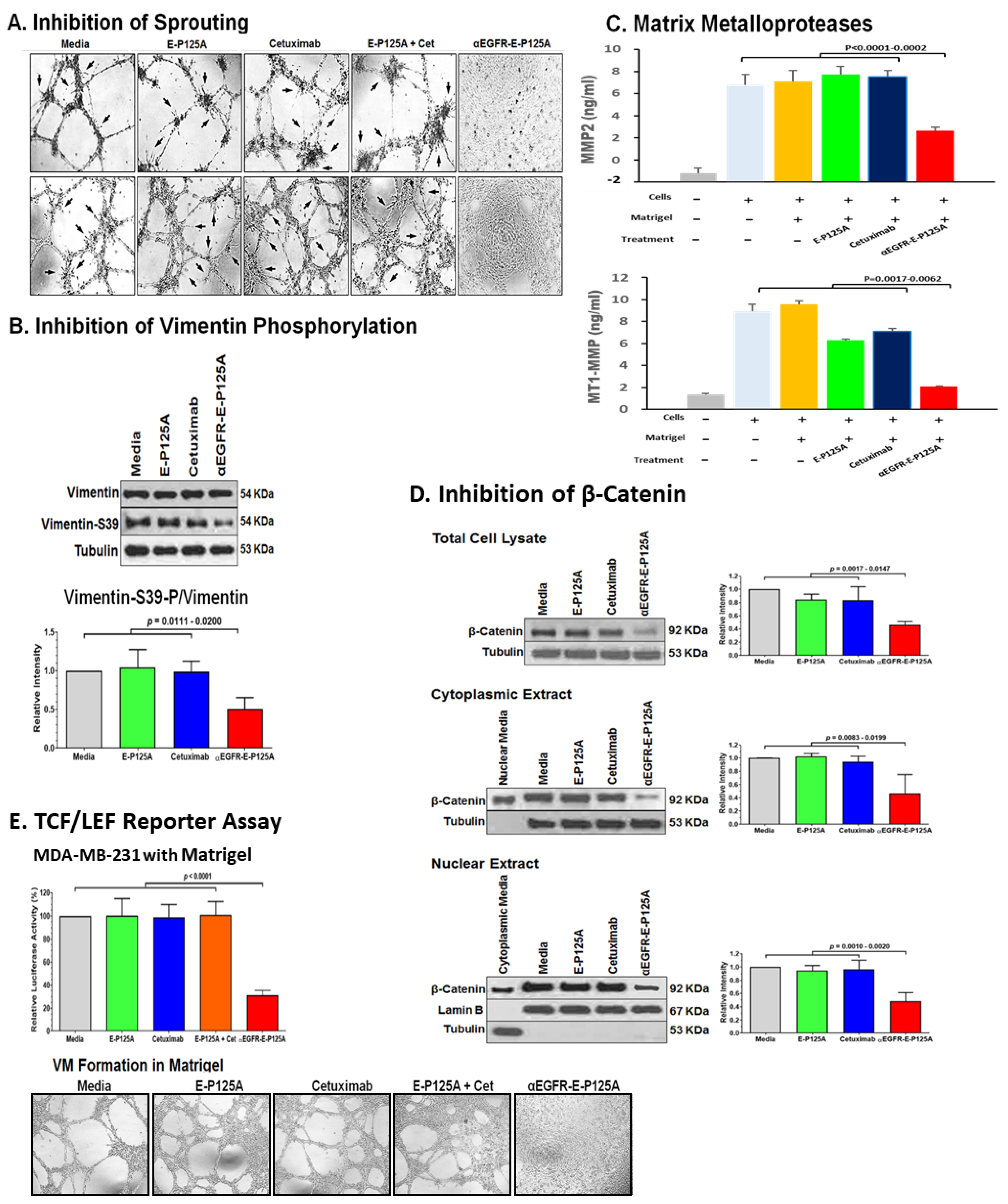 Cells 10 02904 g003 Cells 10 02904 g003