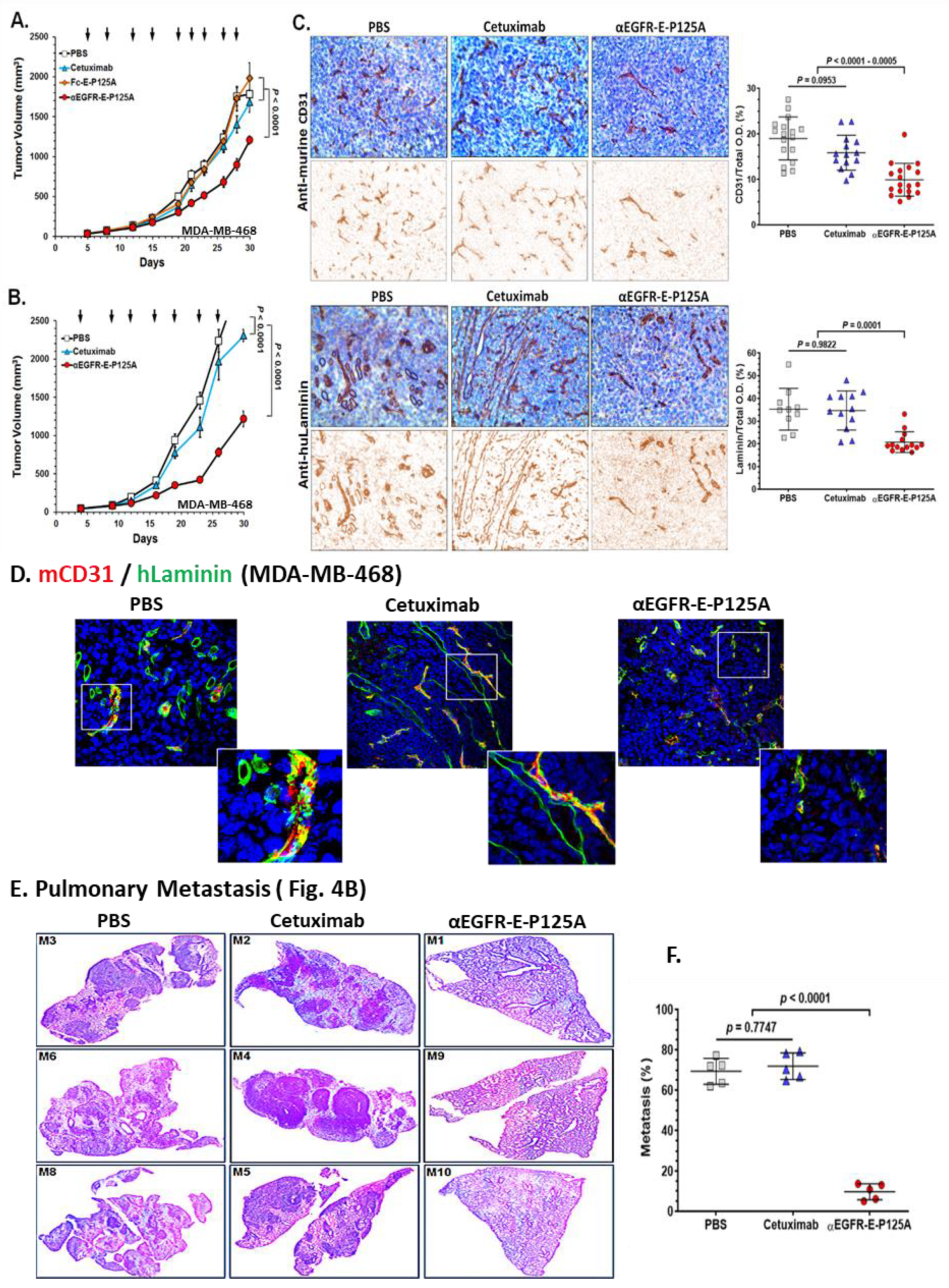 Cells 10 02904 g004 Cells 10 02904 g004