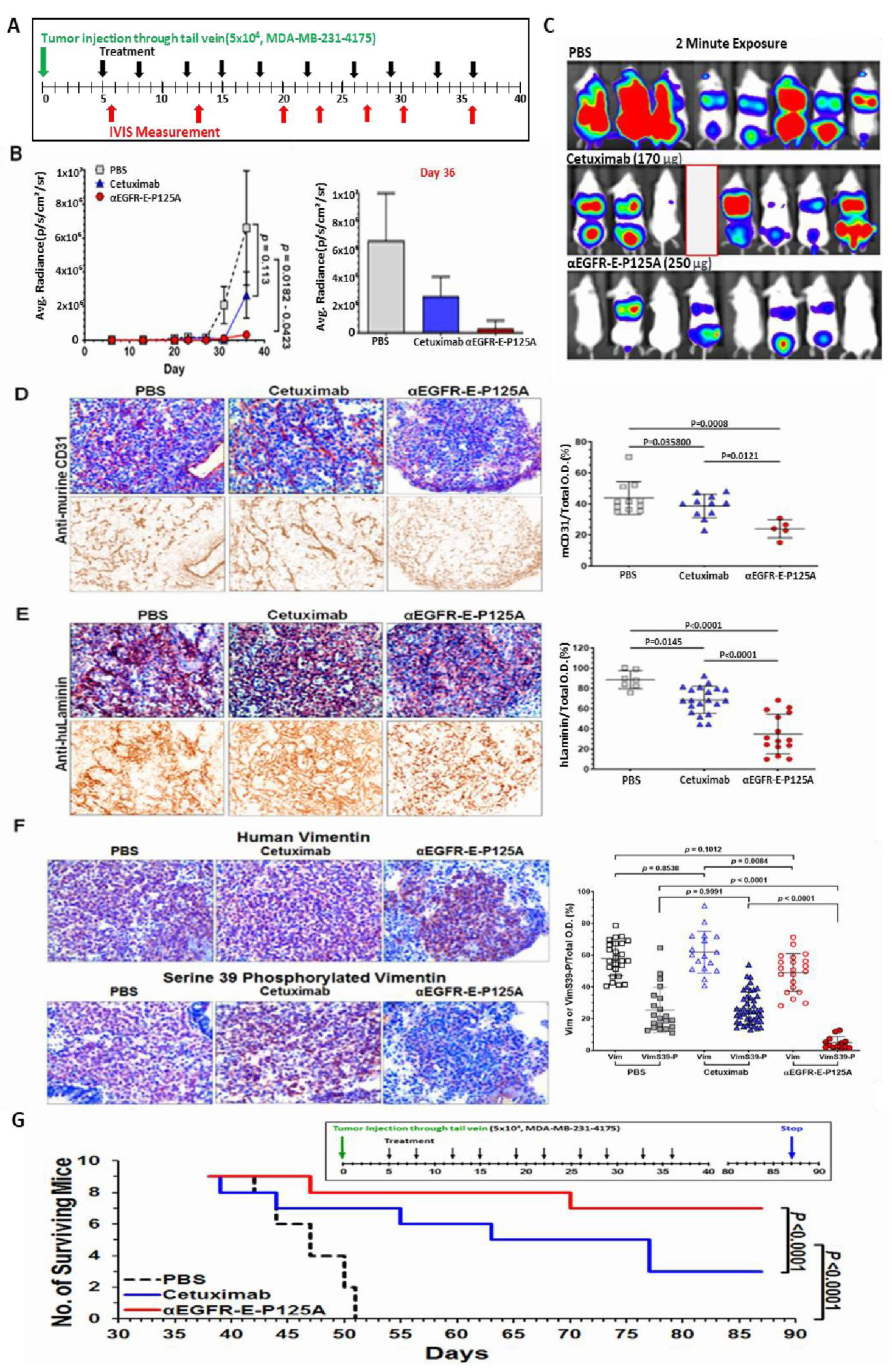 Cells 10 02904 g005 Cells 10 02904 g005