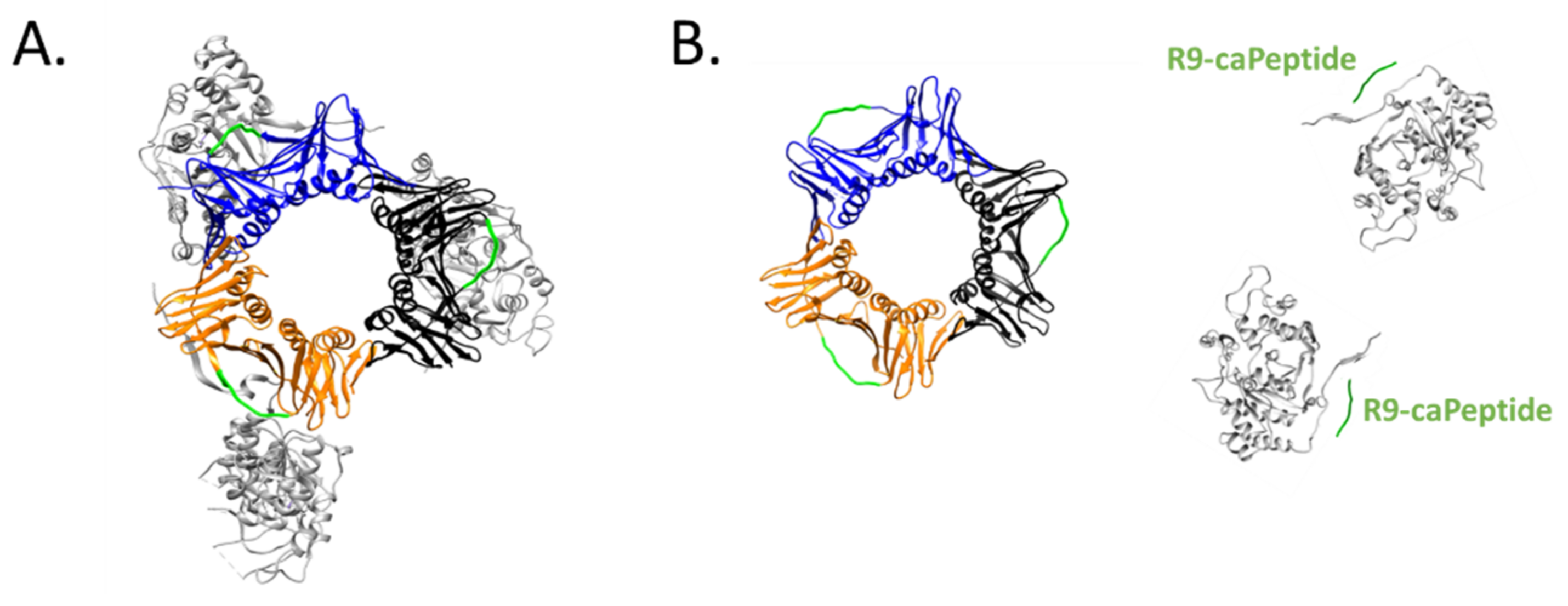 Cells 10 02908 g002 Cells 10 02908 g002