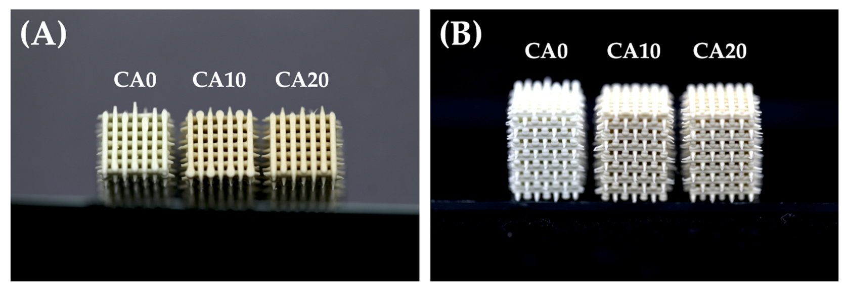 Cells 10 02911 g001 Cells 10 02911 g001