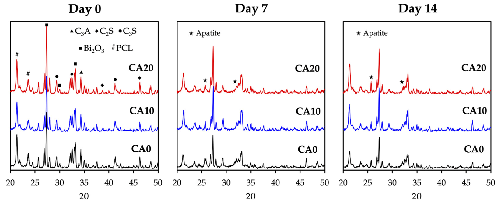 Cells 10 02911 g003 Cells 10 02911 g003