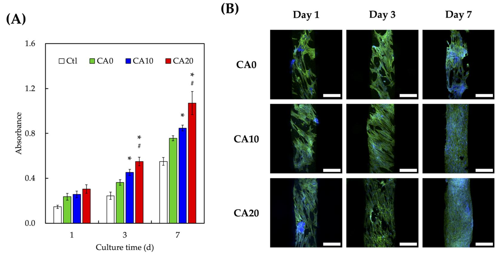 Cells 10 02911 g005 Cells 10 02911 g005