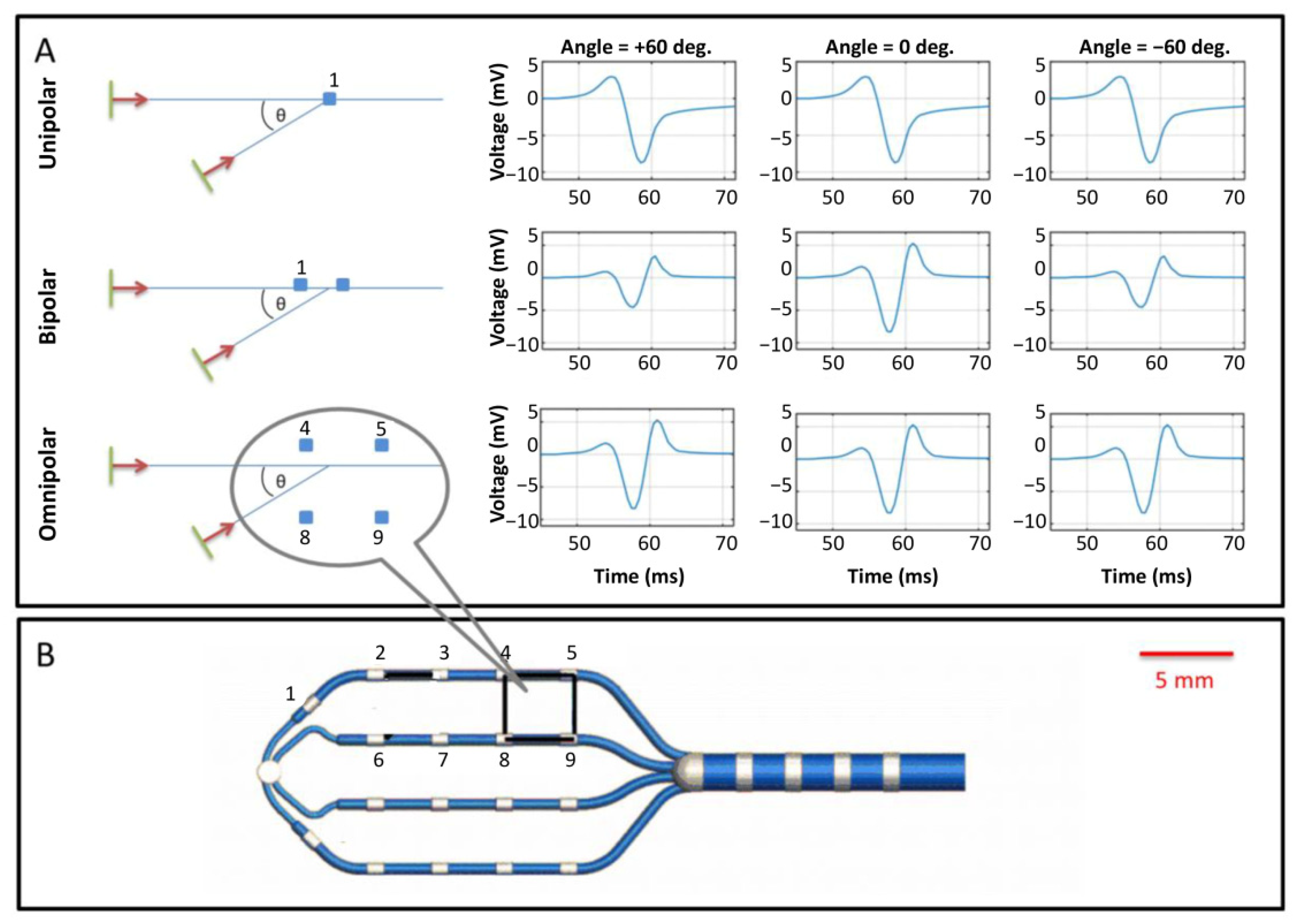 Cells 10 02923 g003 Cells 10 02923 g003