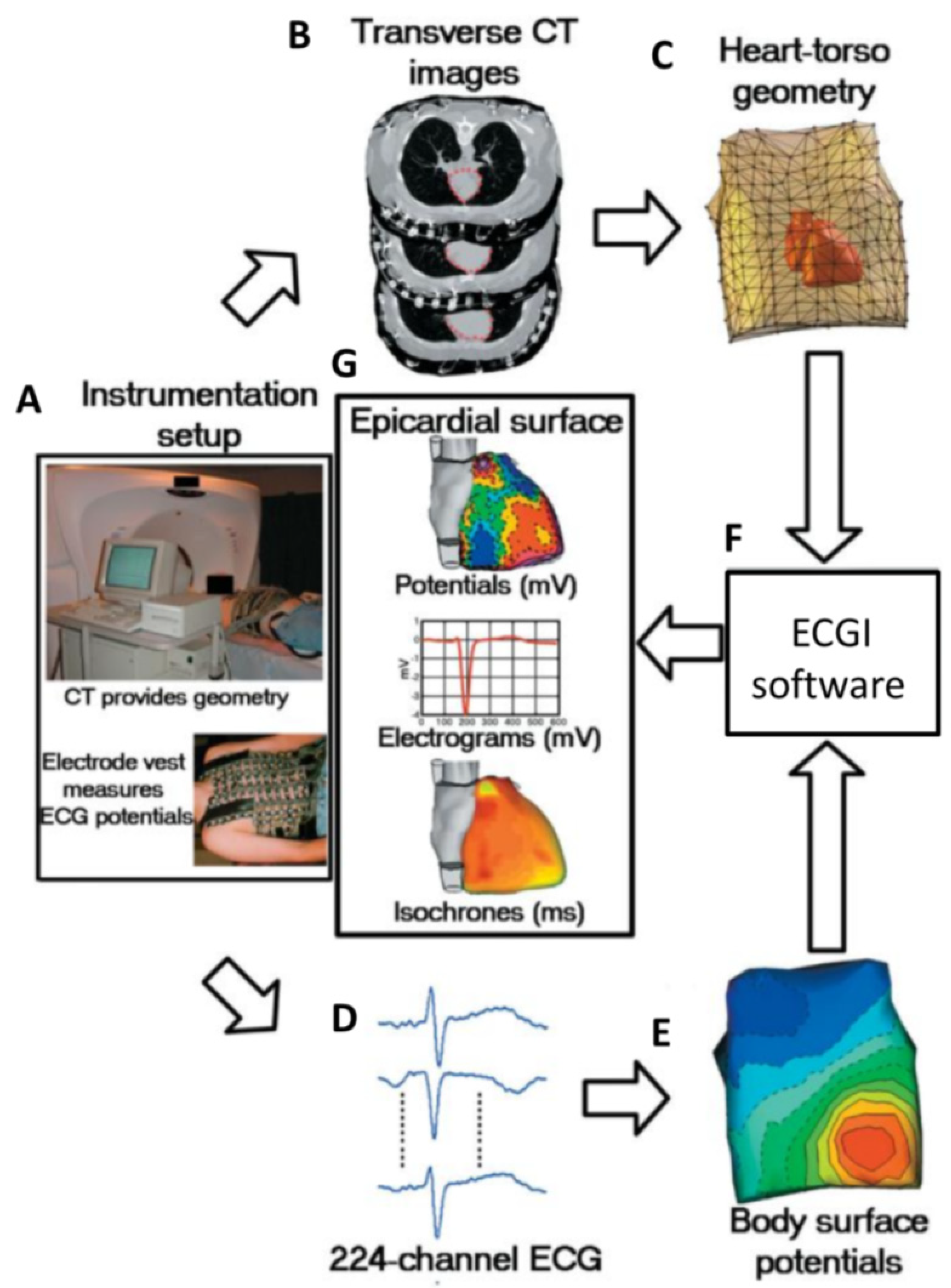 Cells 10 02923 g004 Cells 10 02923 g004