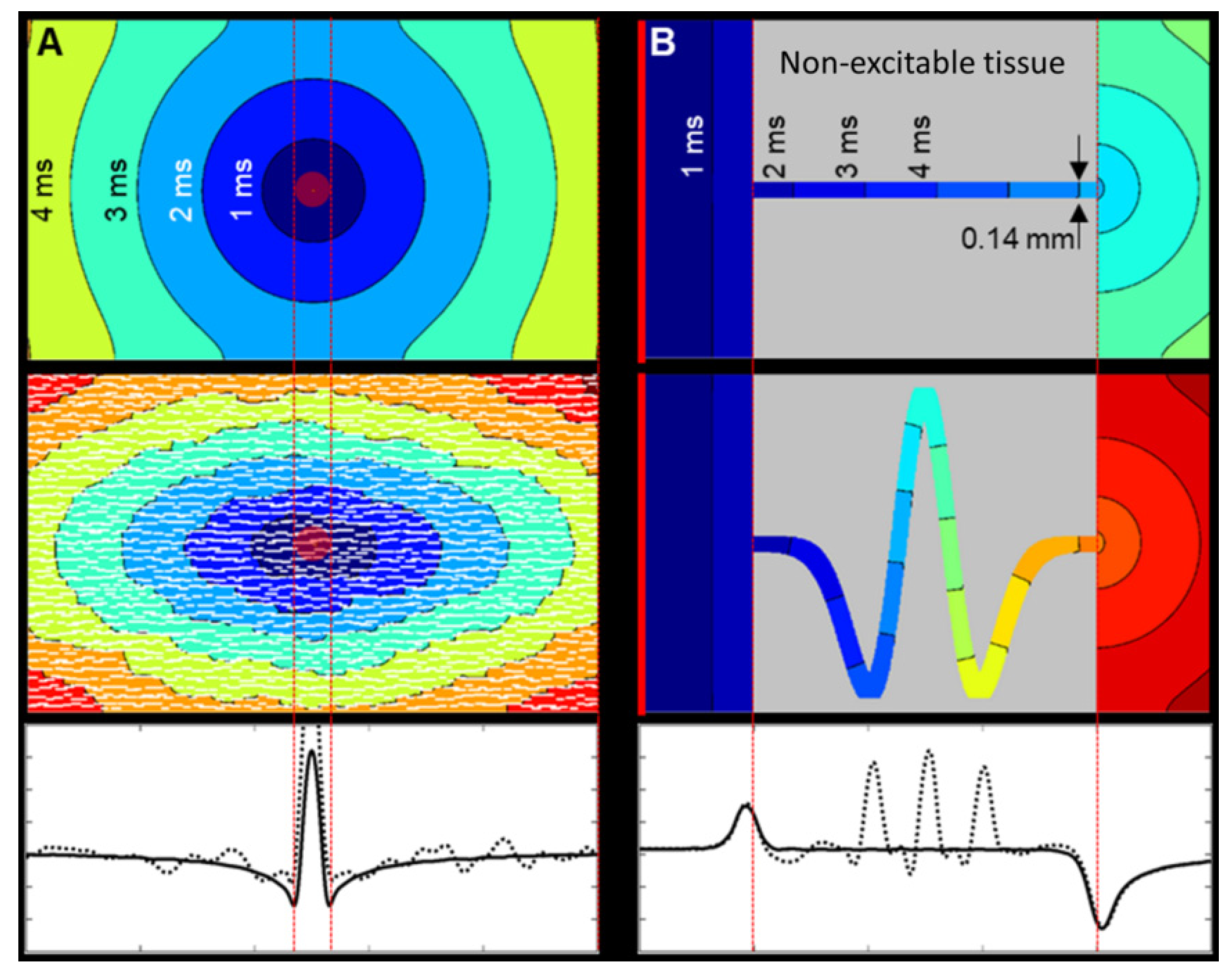 Cells 10 02923 g005 Cells 10 02923 g005
