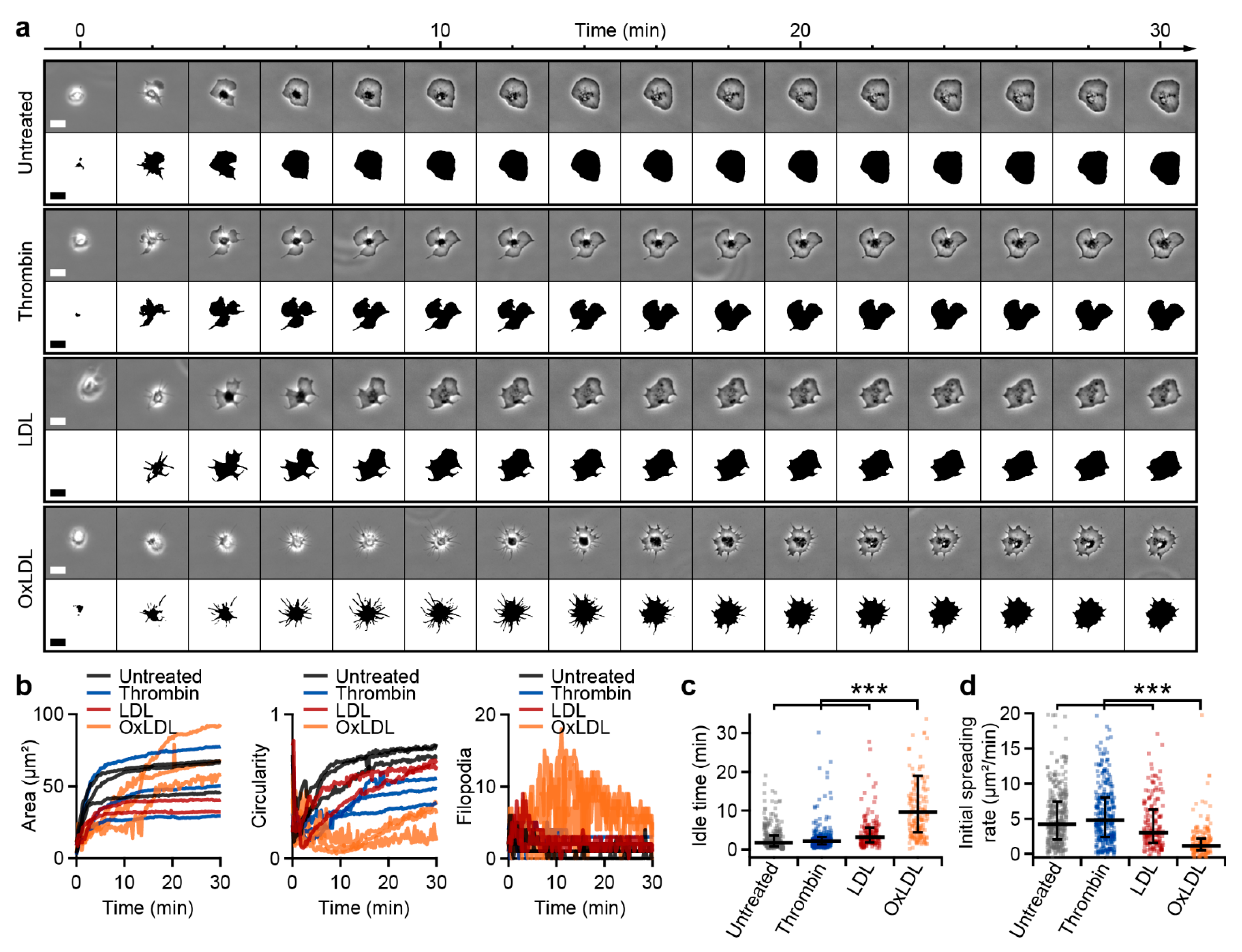 Cells 10 02932 g003 Cells 10 02932 g003
