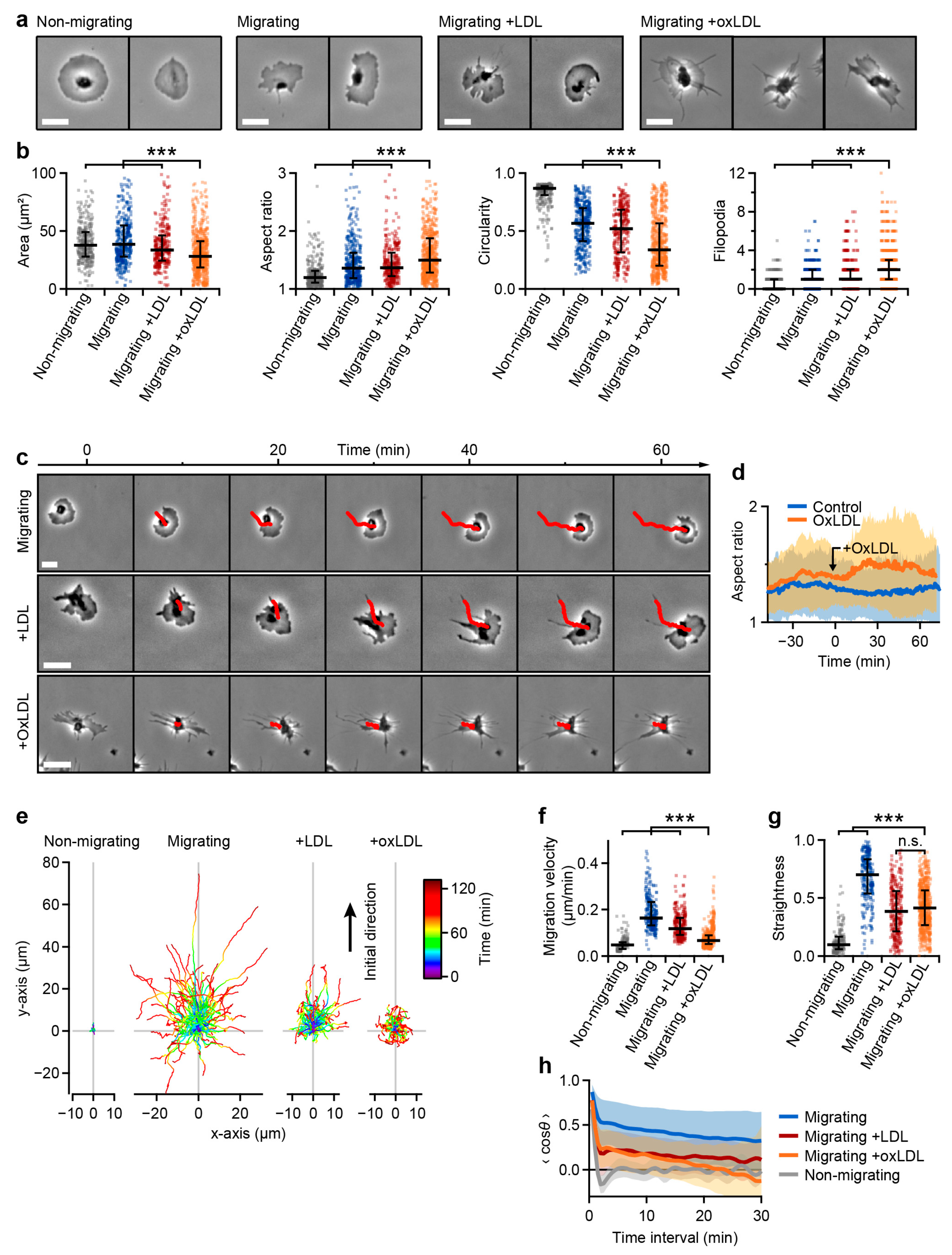 Cells 10 02932 g005 Cells 10 02932 g005