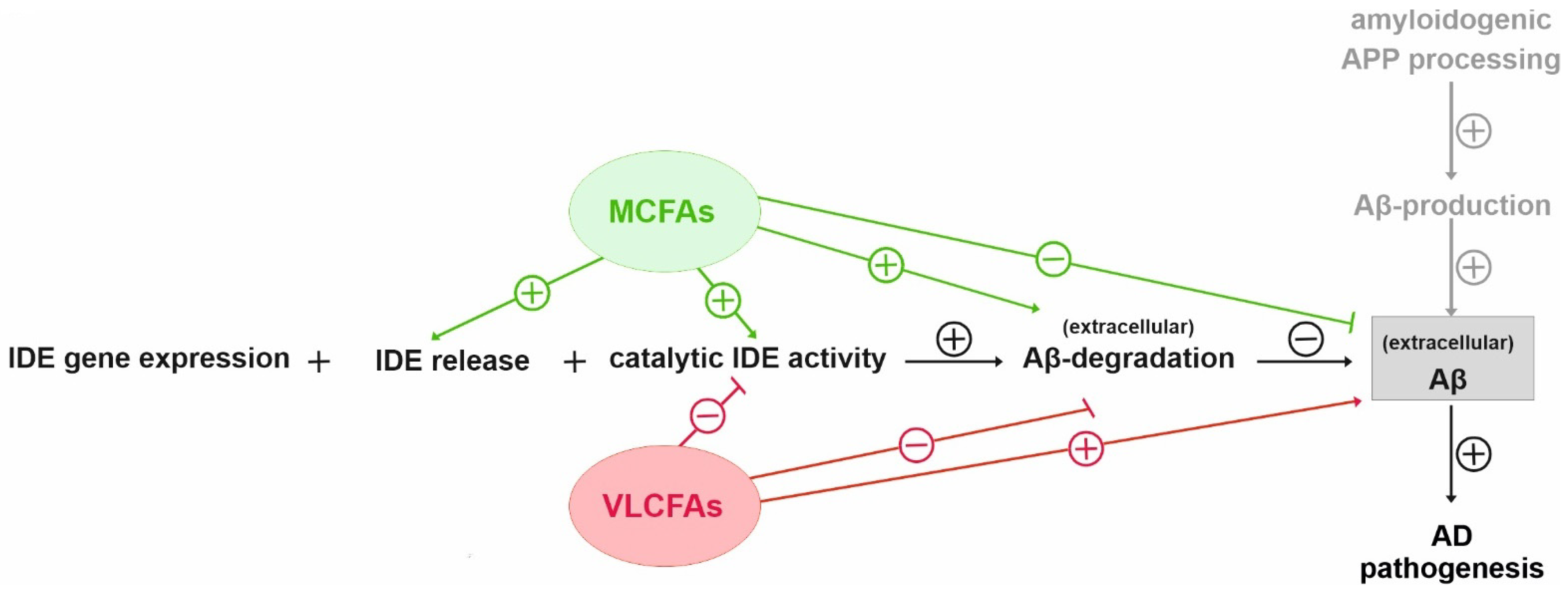 Cells 10 02941 g003 Cells 10 02941 g003