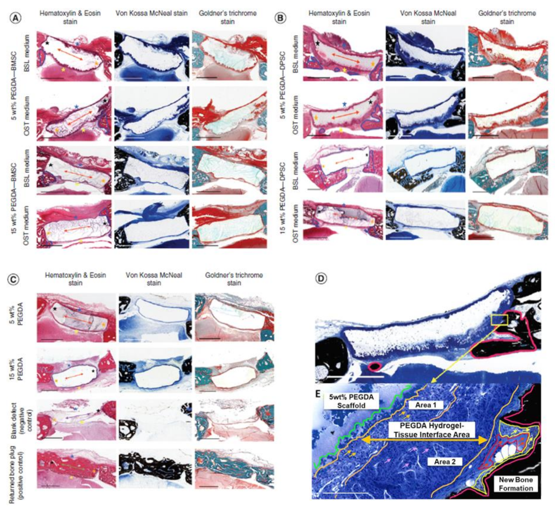 Cells 10 02993 g003 Cells 10 02993 g003