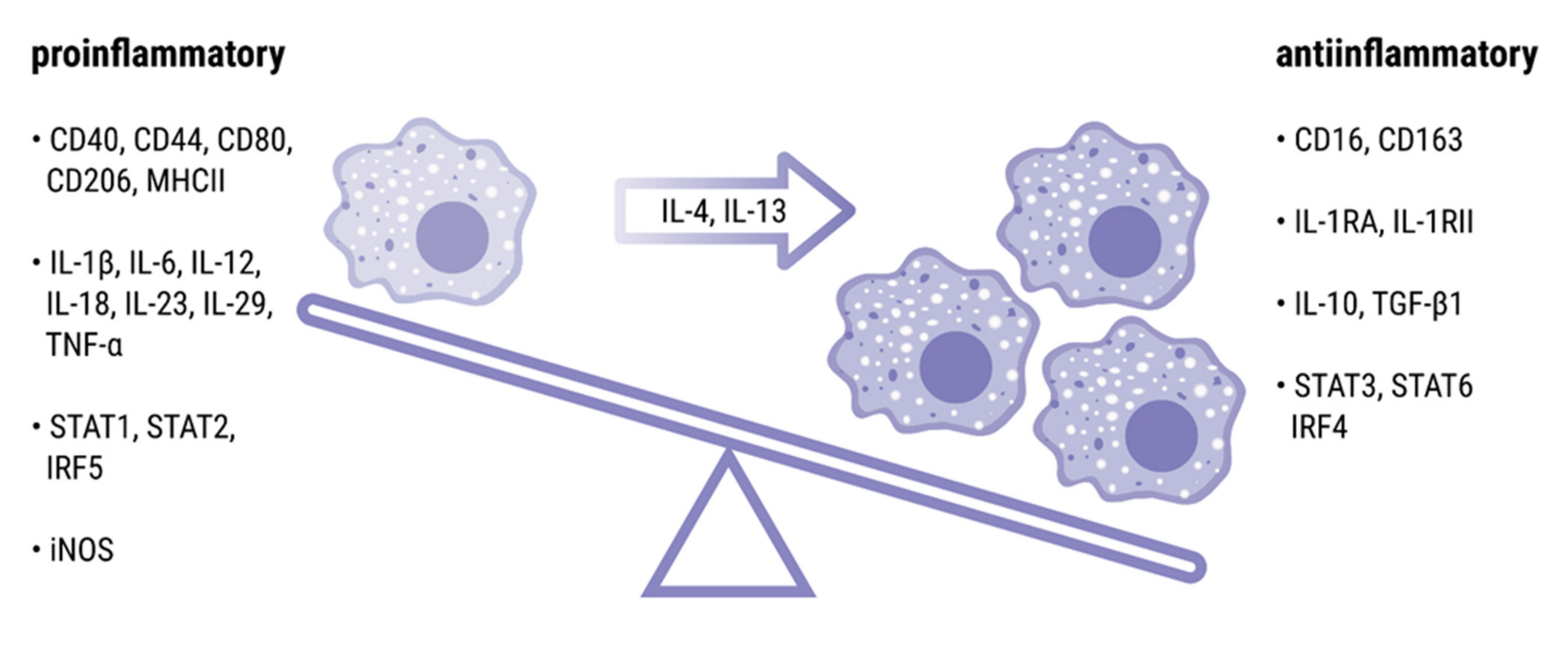 Cells 10 03000 g002 Cells 10 03000 g002