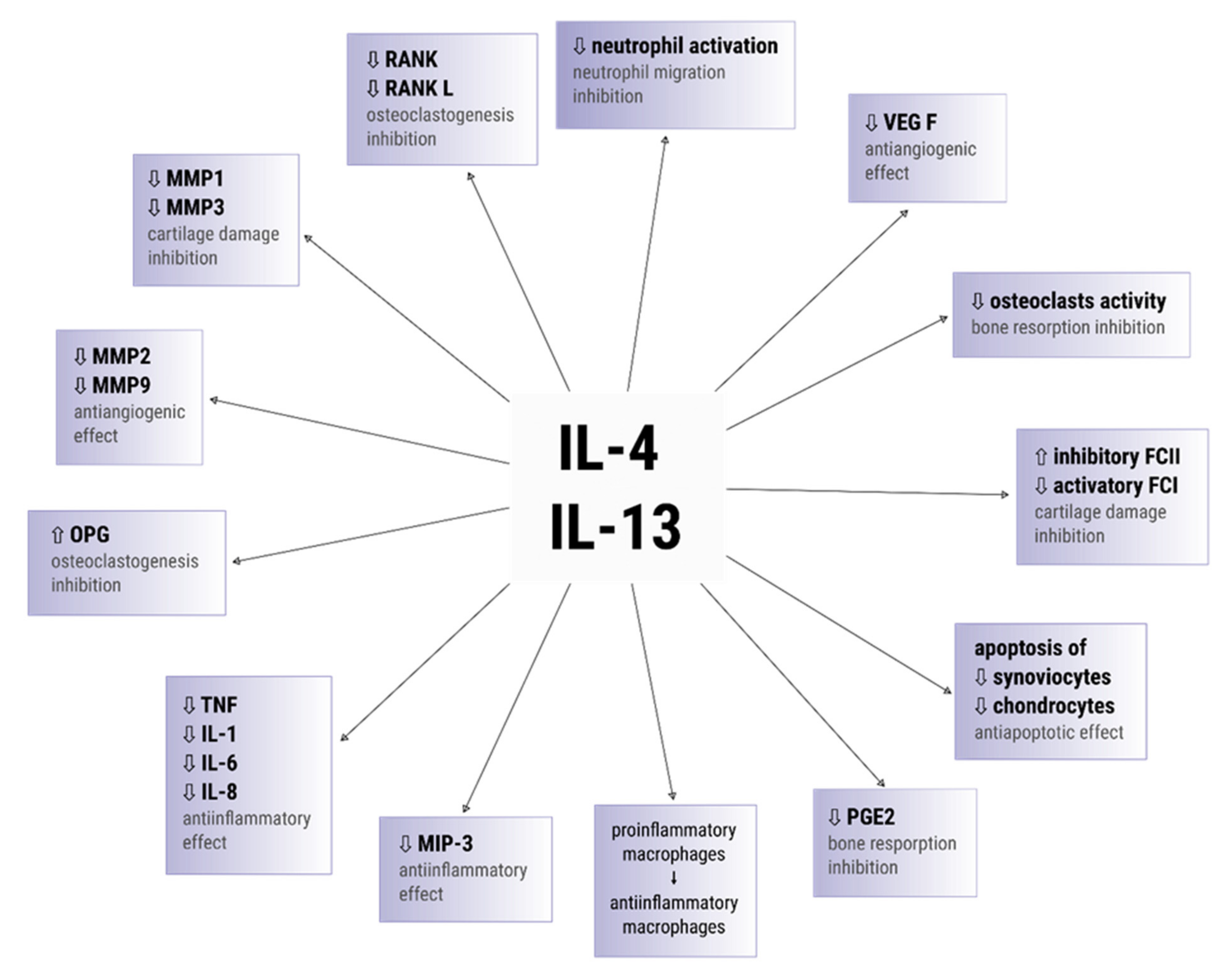 Cells 10 03000 g003 Cells 10 03000 g003