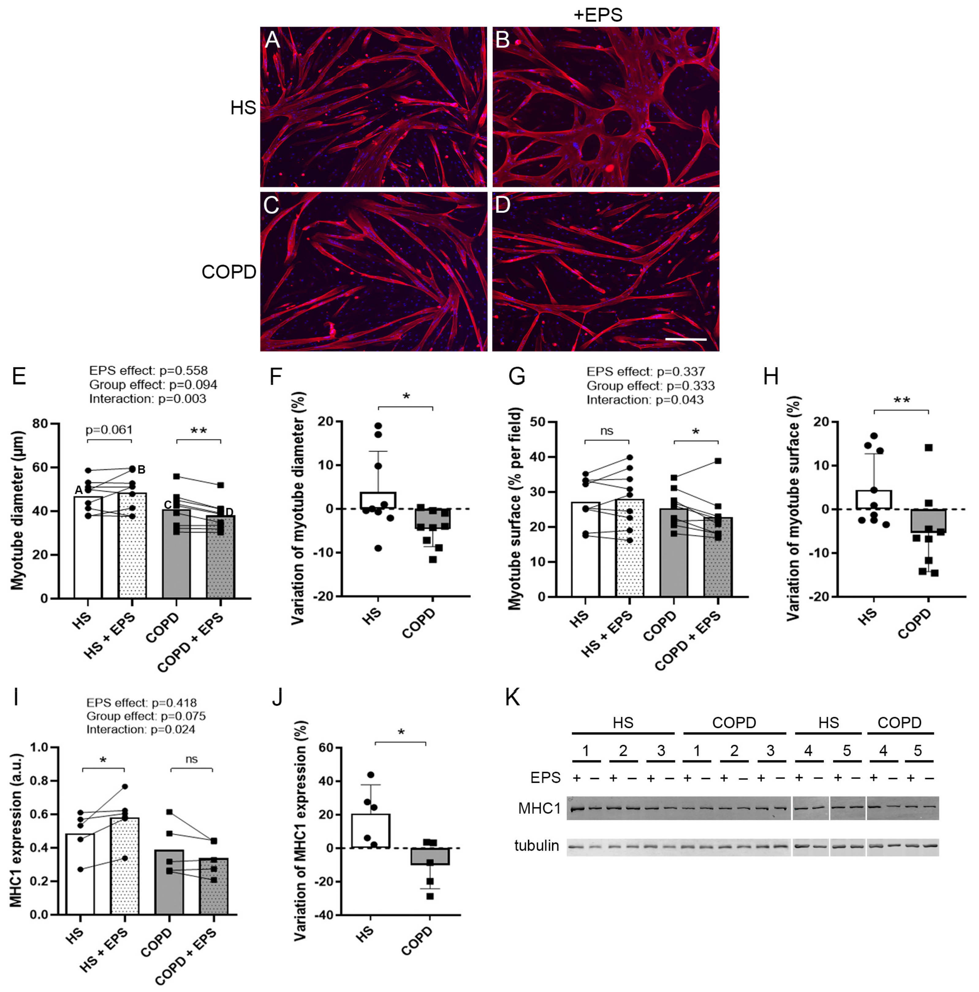 Cells 10 03002 g001 Cells 10 03002 g001