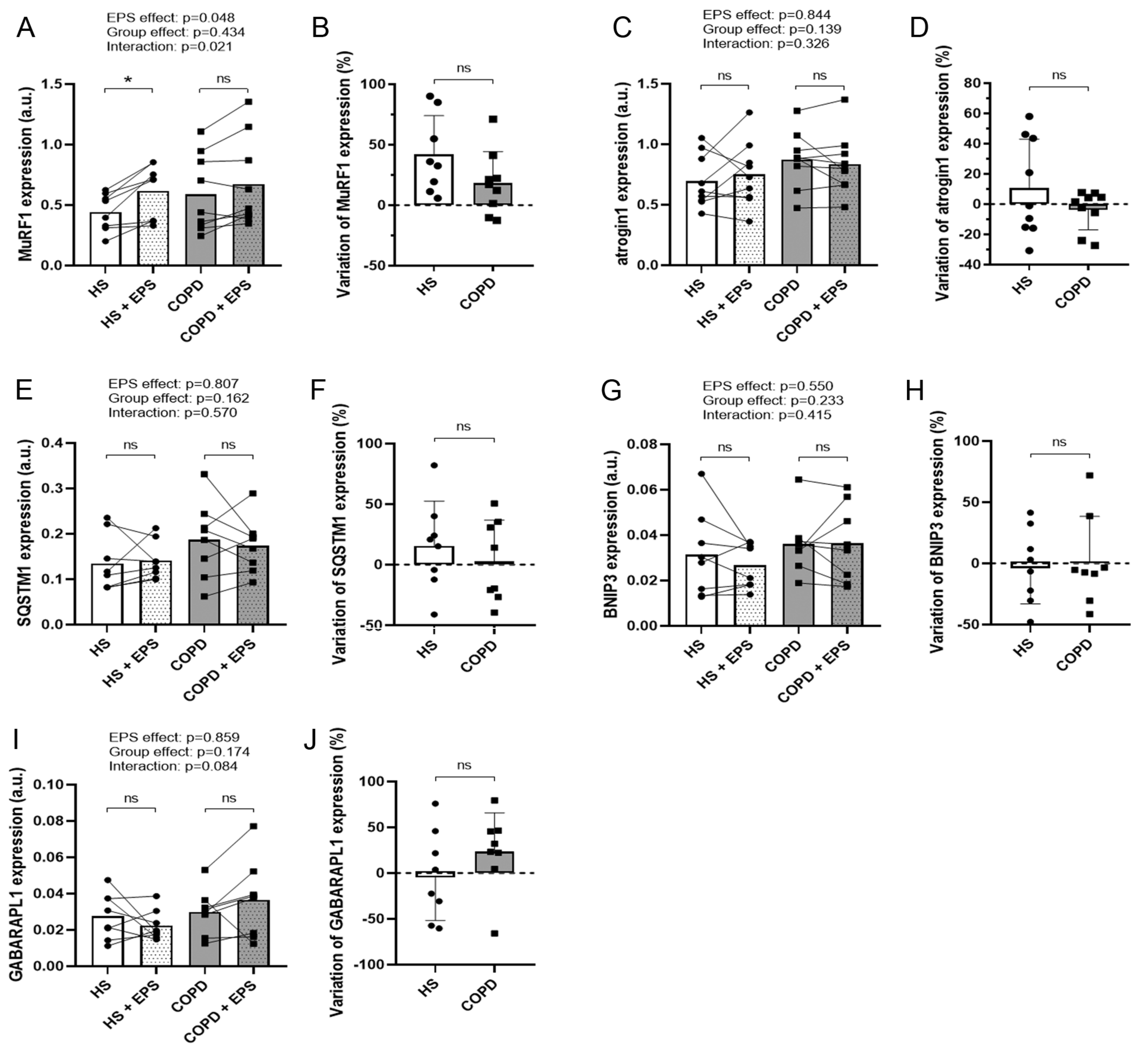 Cells 10 03002 g002 Cells 10 03002 g002