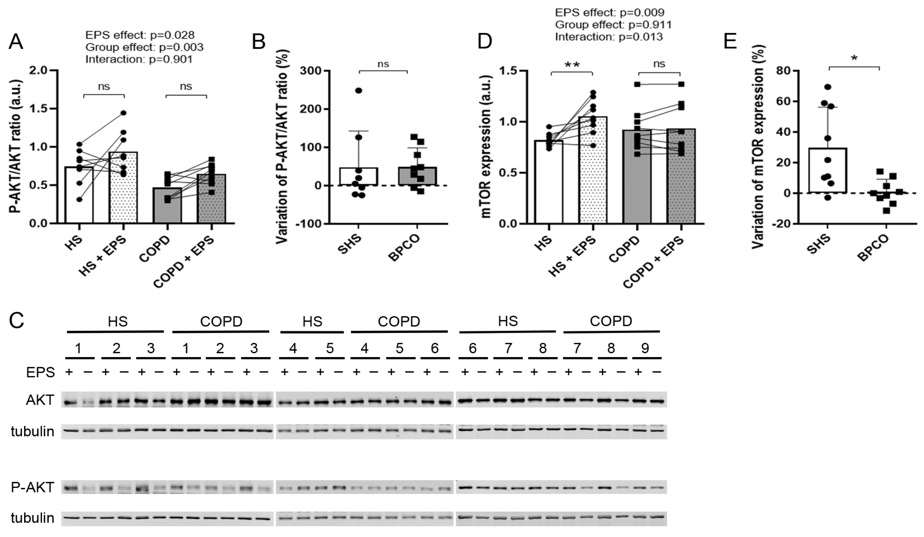 Cells 10 03002 g003 Cells 10 03002 g003
