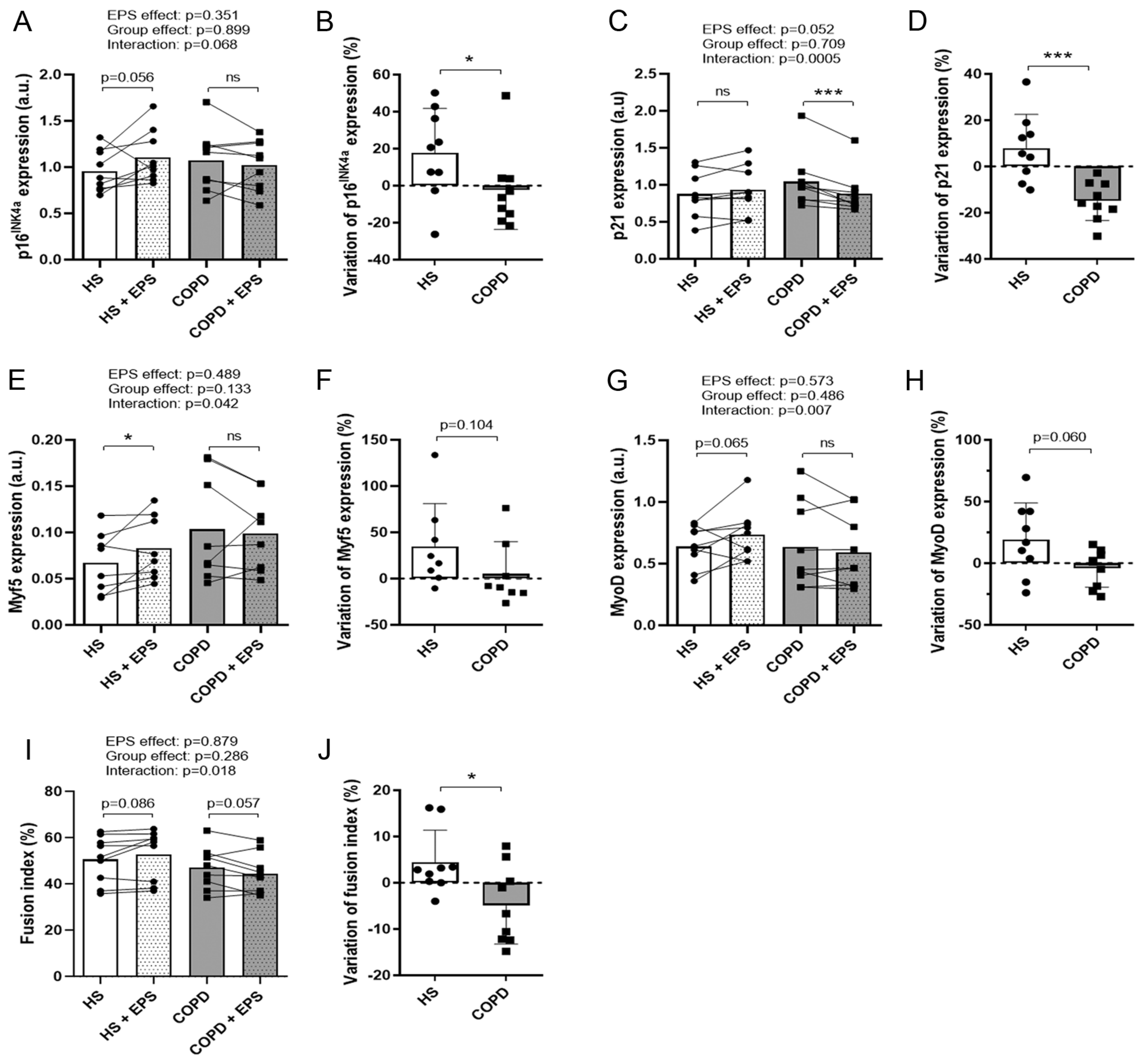 Cells 10 03002 g004 Cells 10 03002 g004