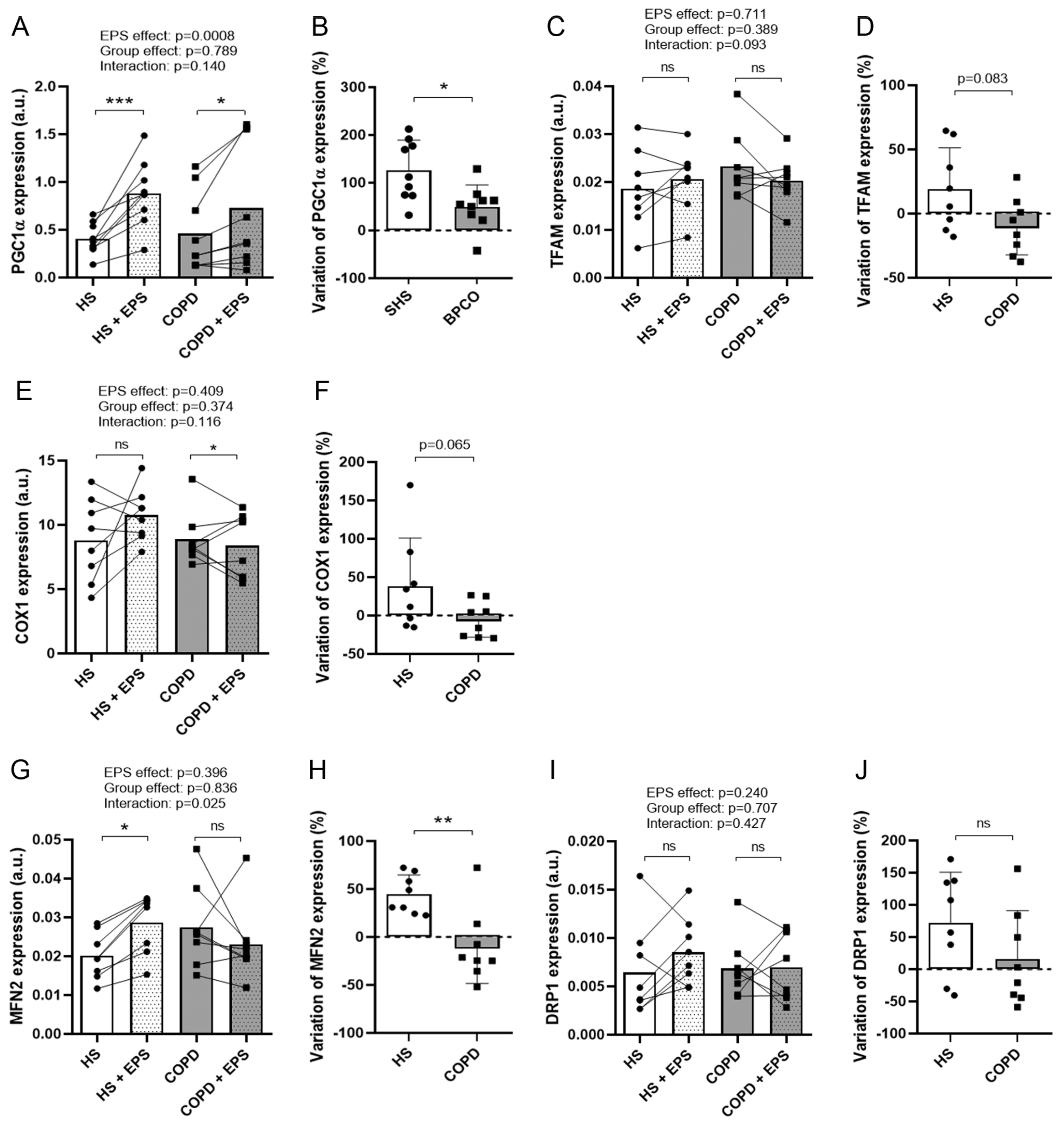 Cells 10 03002 g005 Cells 10 03002 g005