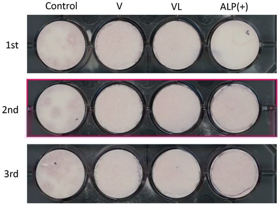 Cells 10 03011 g0a1 550