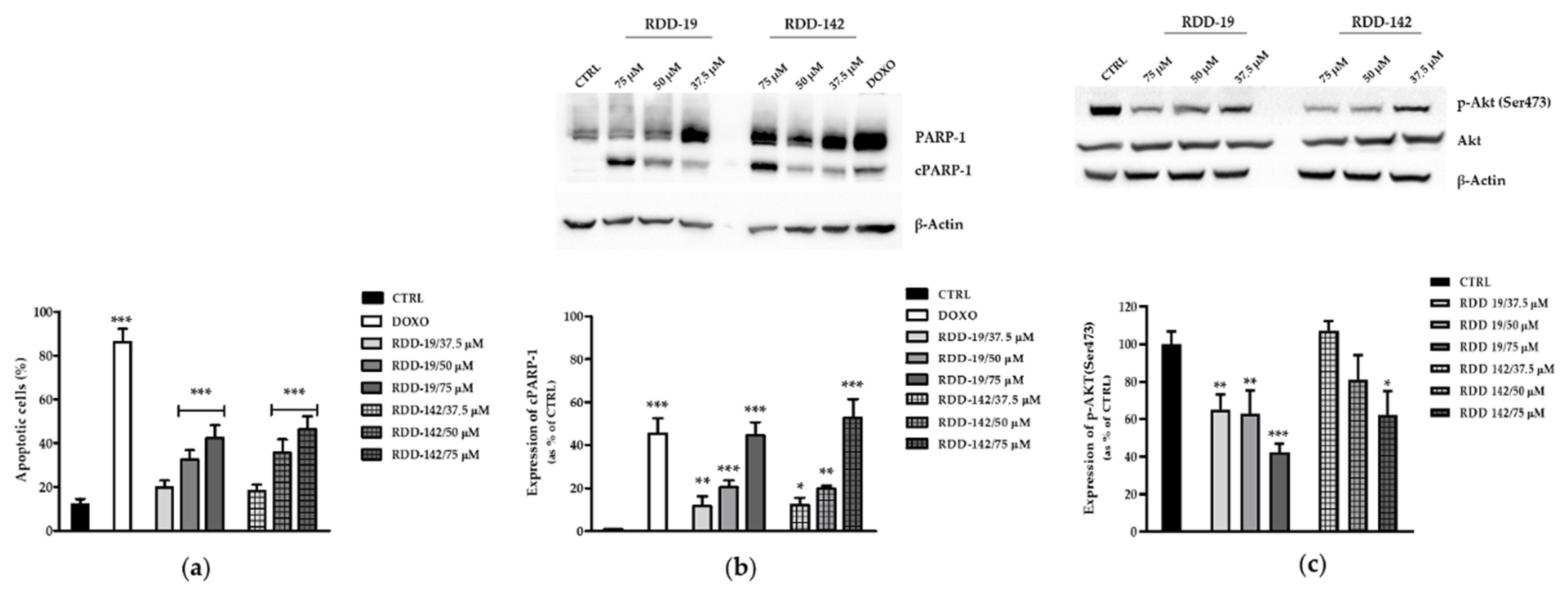 Cells 10 03052 g005 Cells 10 03052 g005