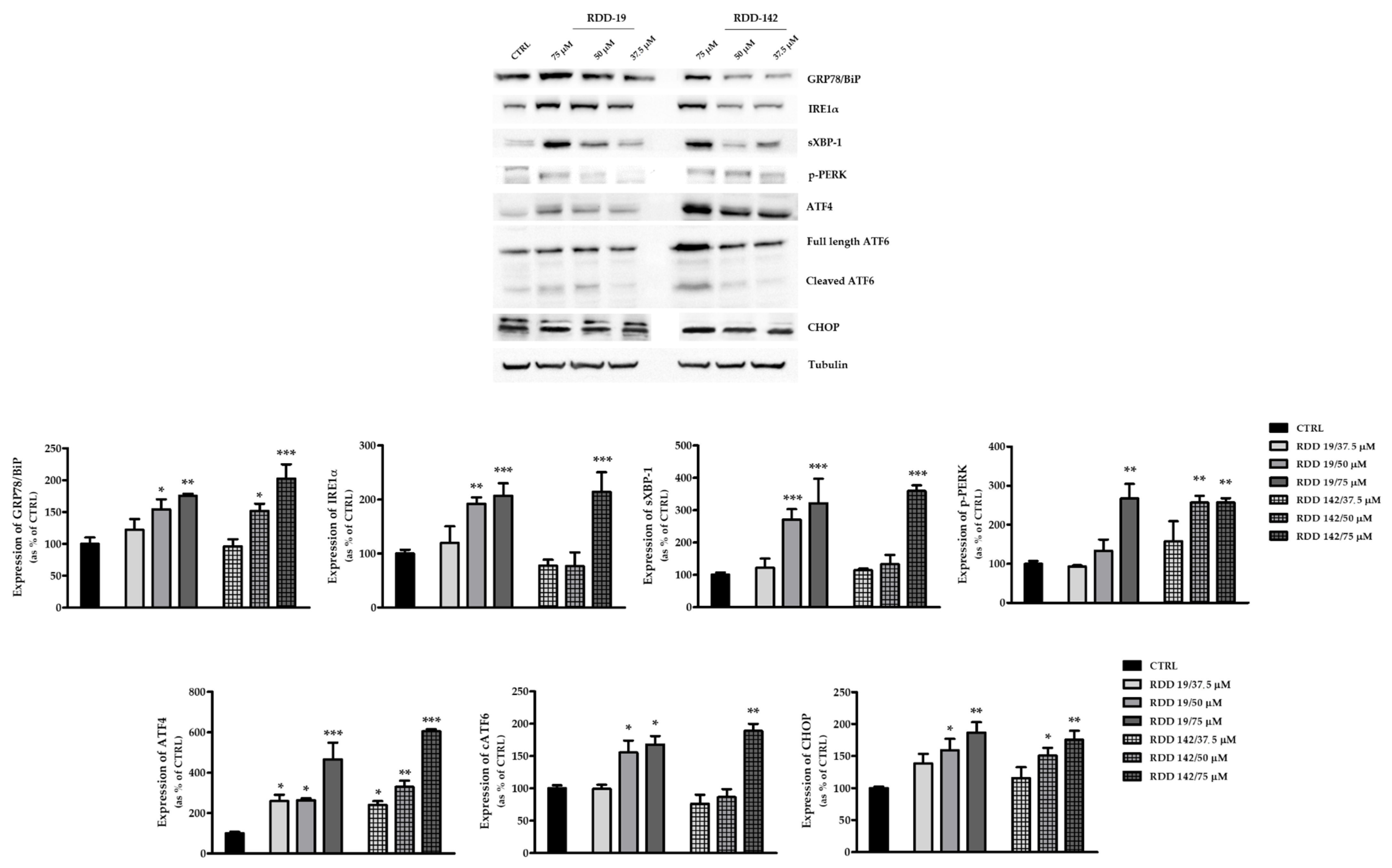 Cells 10 03052 g006 Cells 10 03052 g006