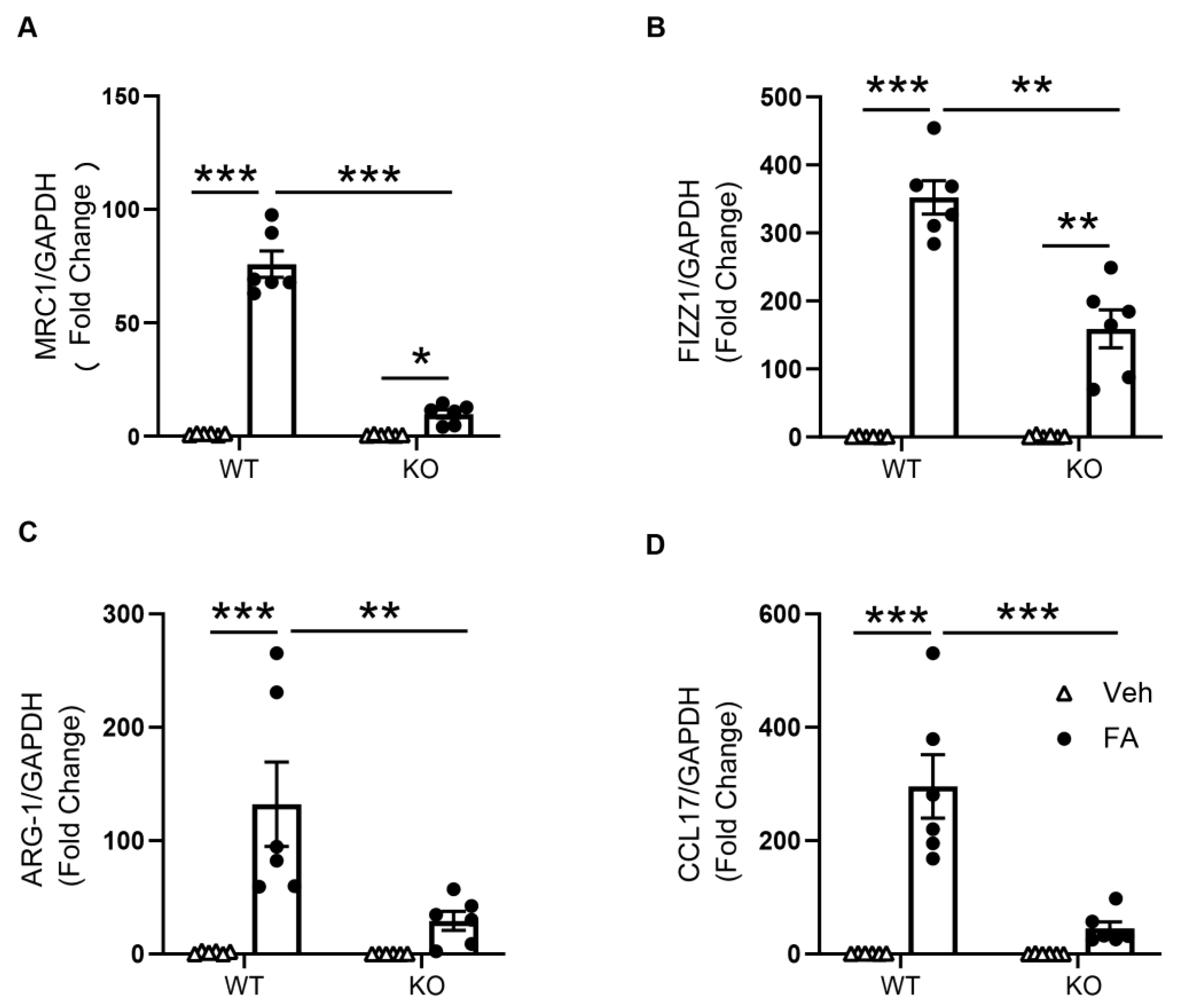 Cells 10 03057 g003 Cells 10 03057 g003