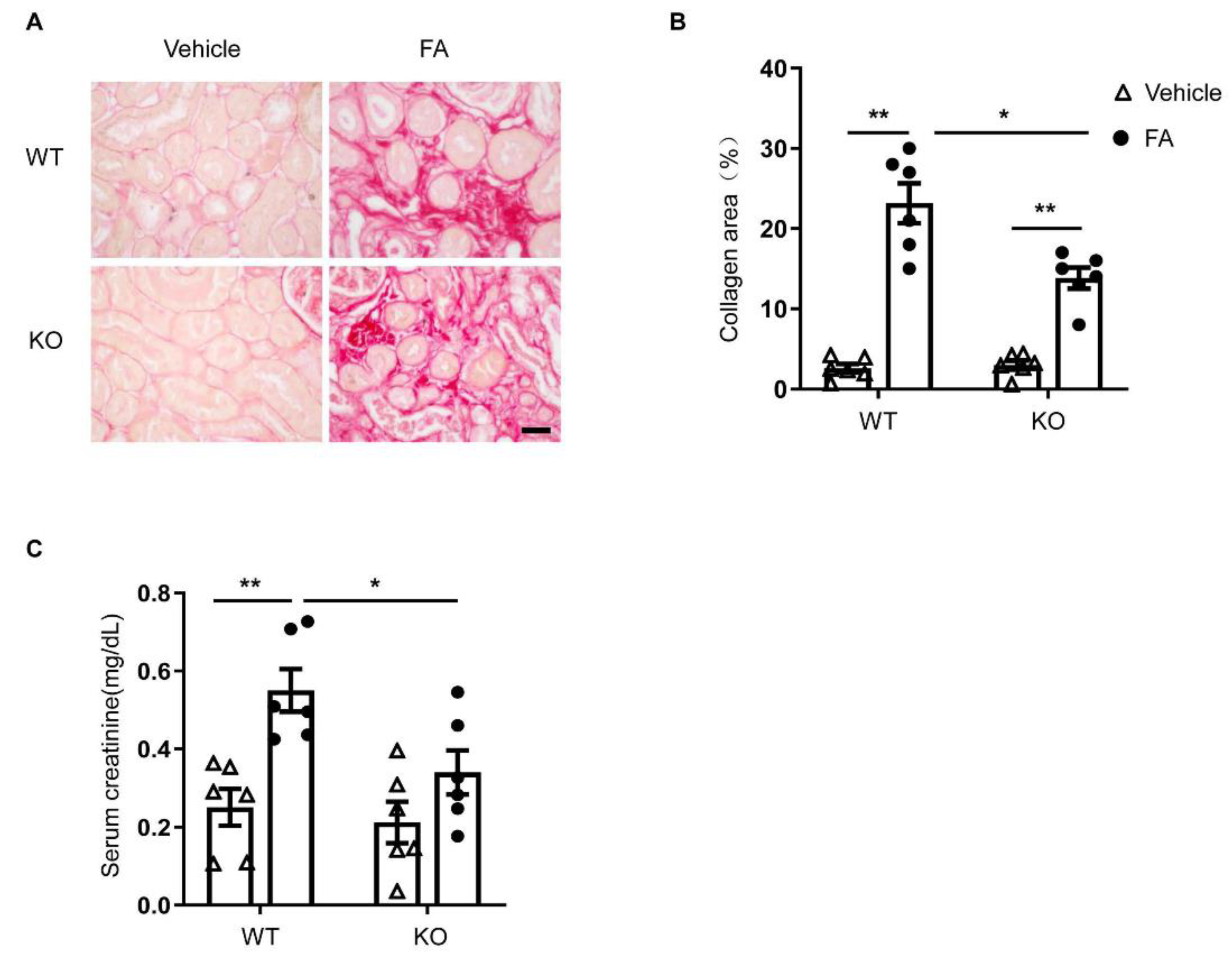 Cells 10 03057 g006 Cells 10 03057 g006