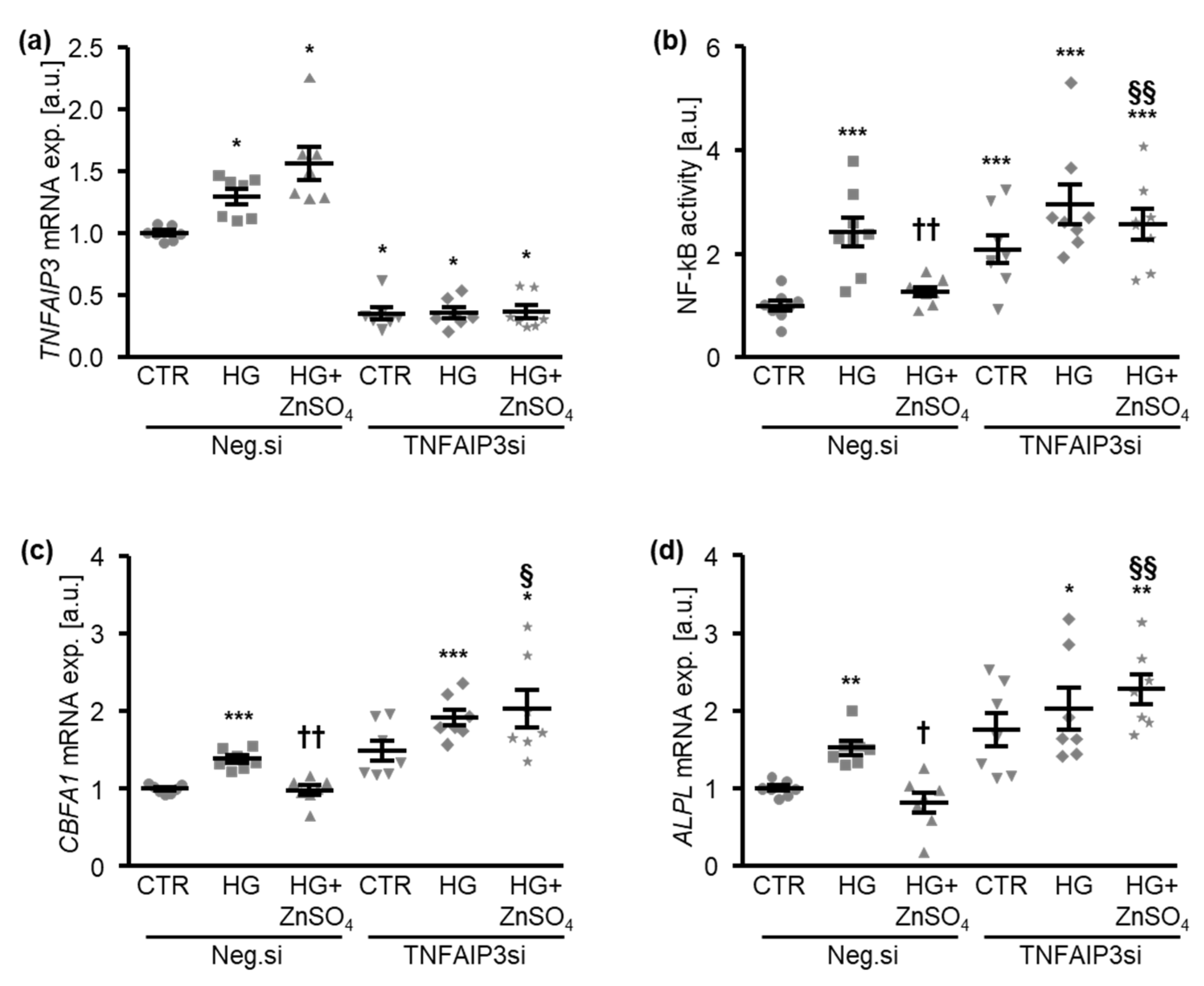 Cells 10 03083 g005 Cells 10 03083 g005