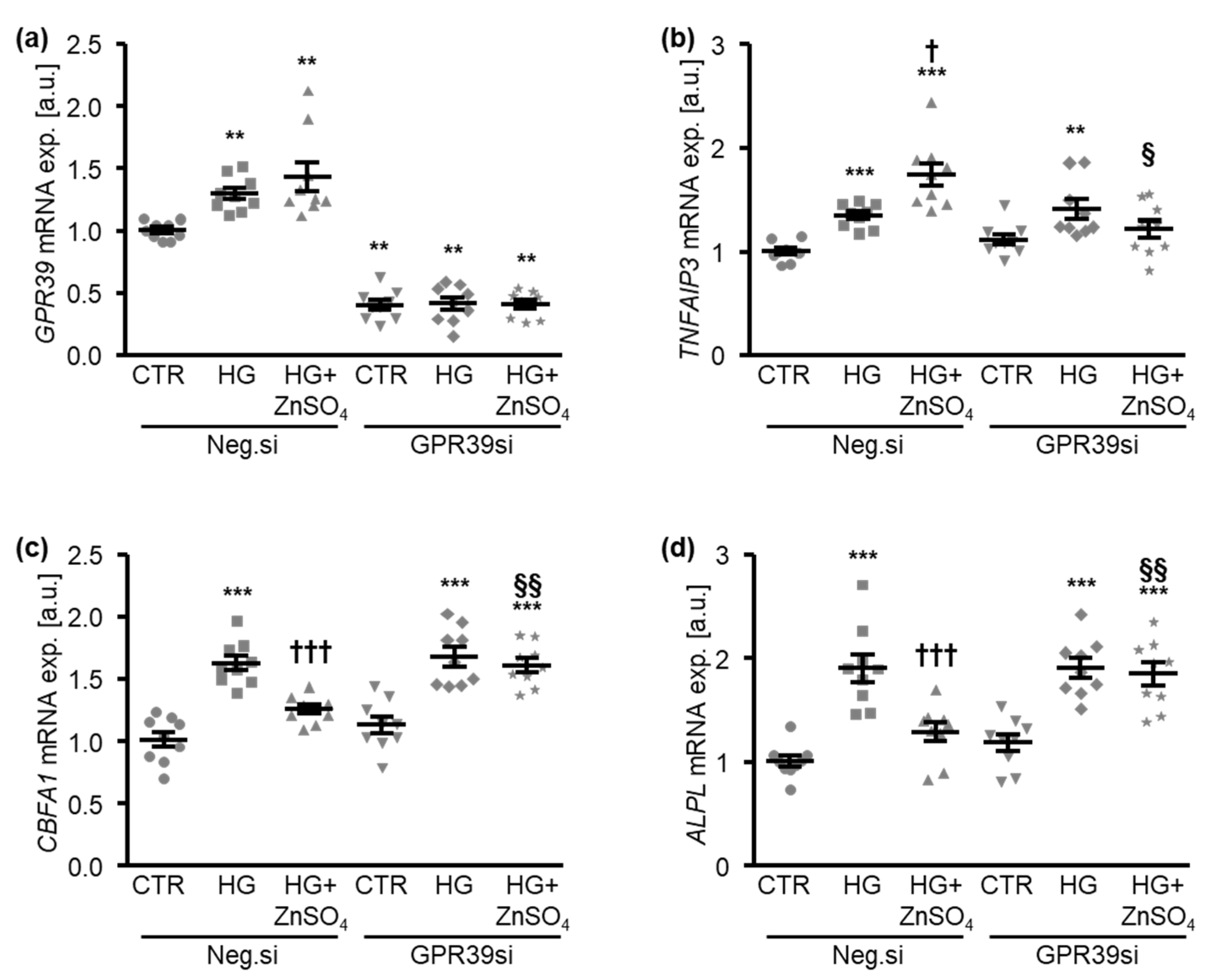 Cells 10 03083 g007 Cells 10 03083 g007
