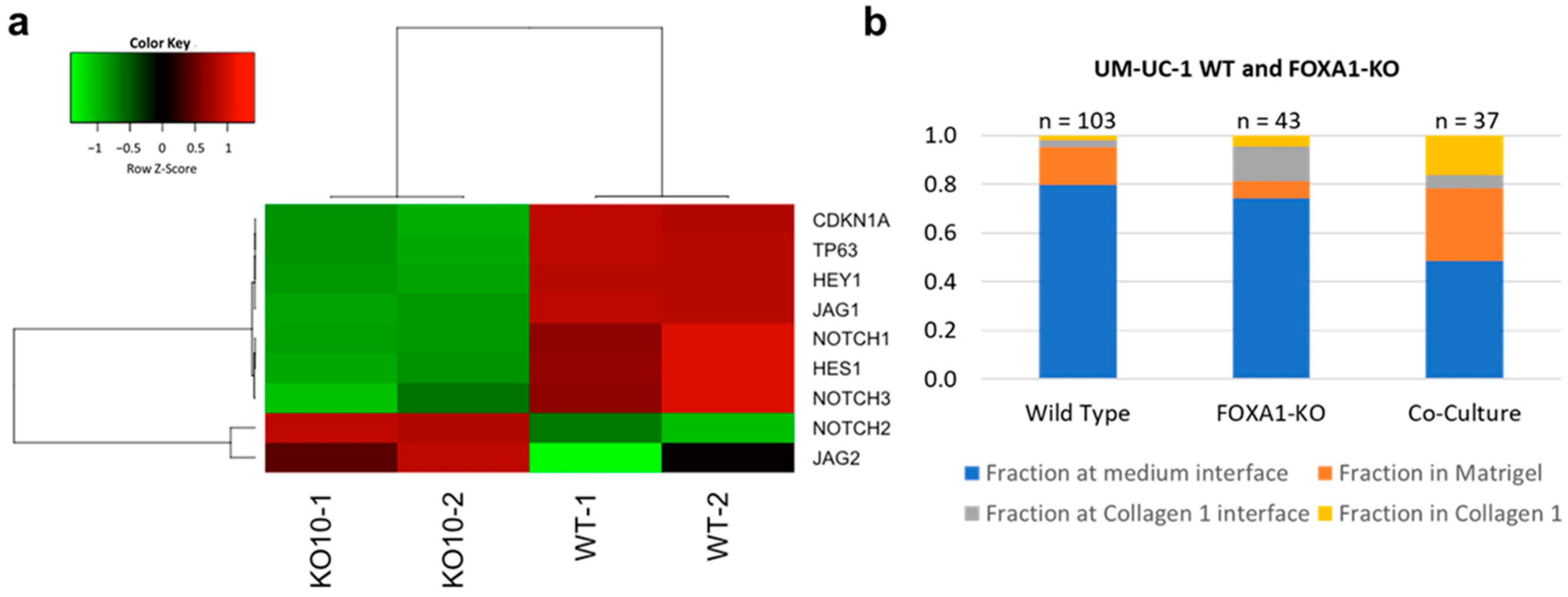 Cells 10 03084 g005 Cells 10 03084 g005