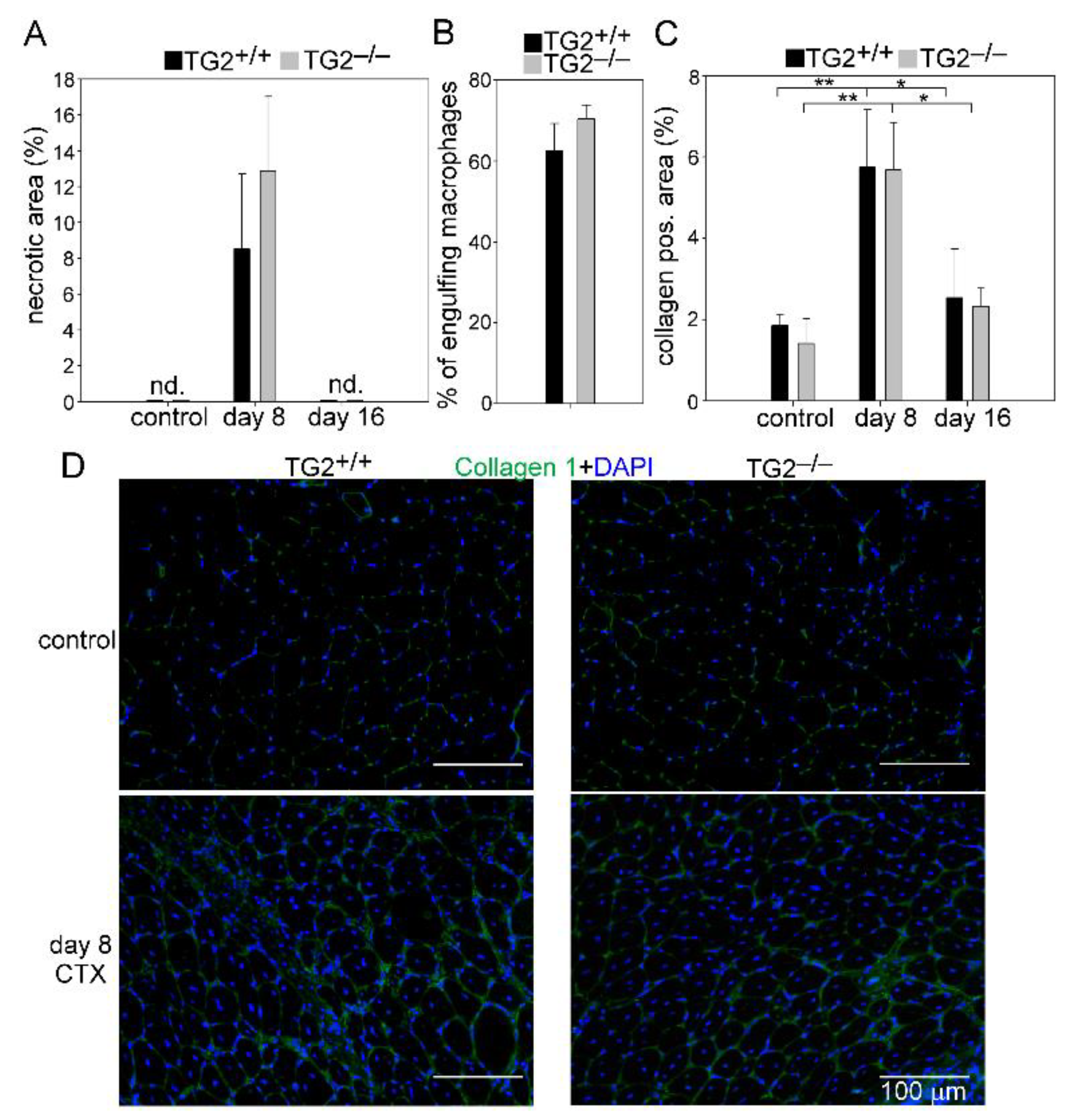 Cells 10 03089 g003 Cells 10 03089 g003