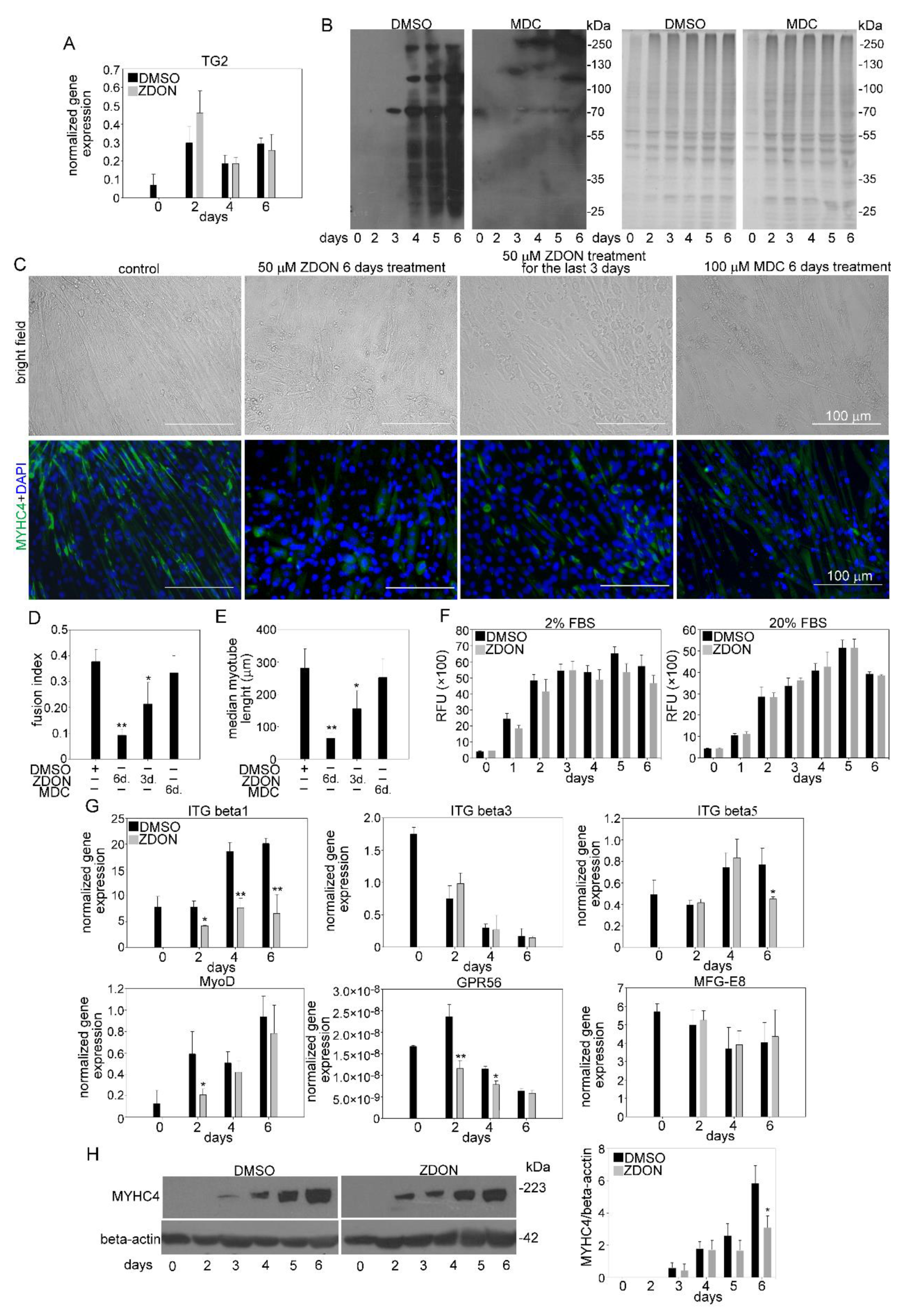 Cells 10 03089 g007 Cells 10 03089 g007