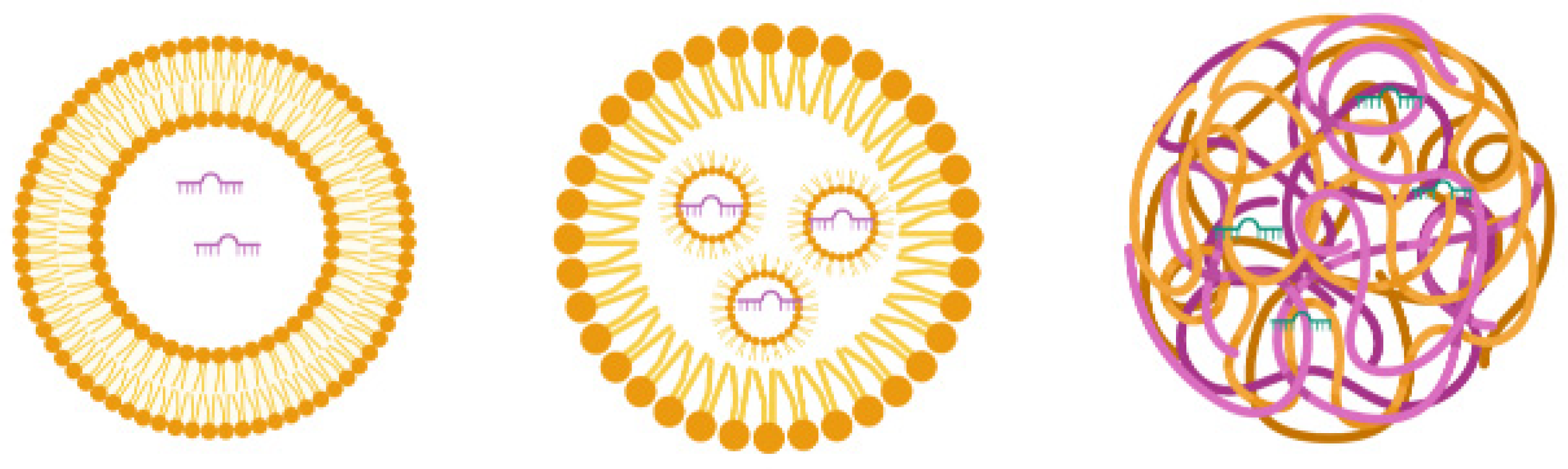 Cells 10 03097 g003 Cells 10 03097 g003