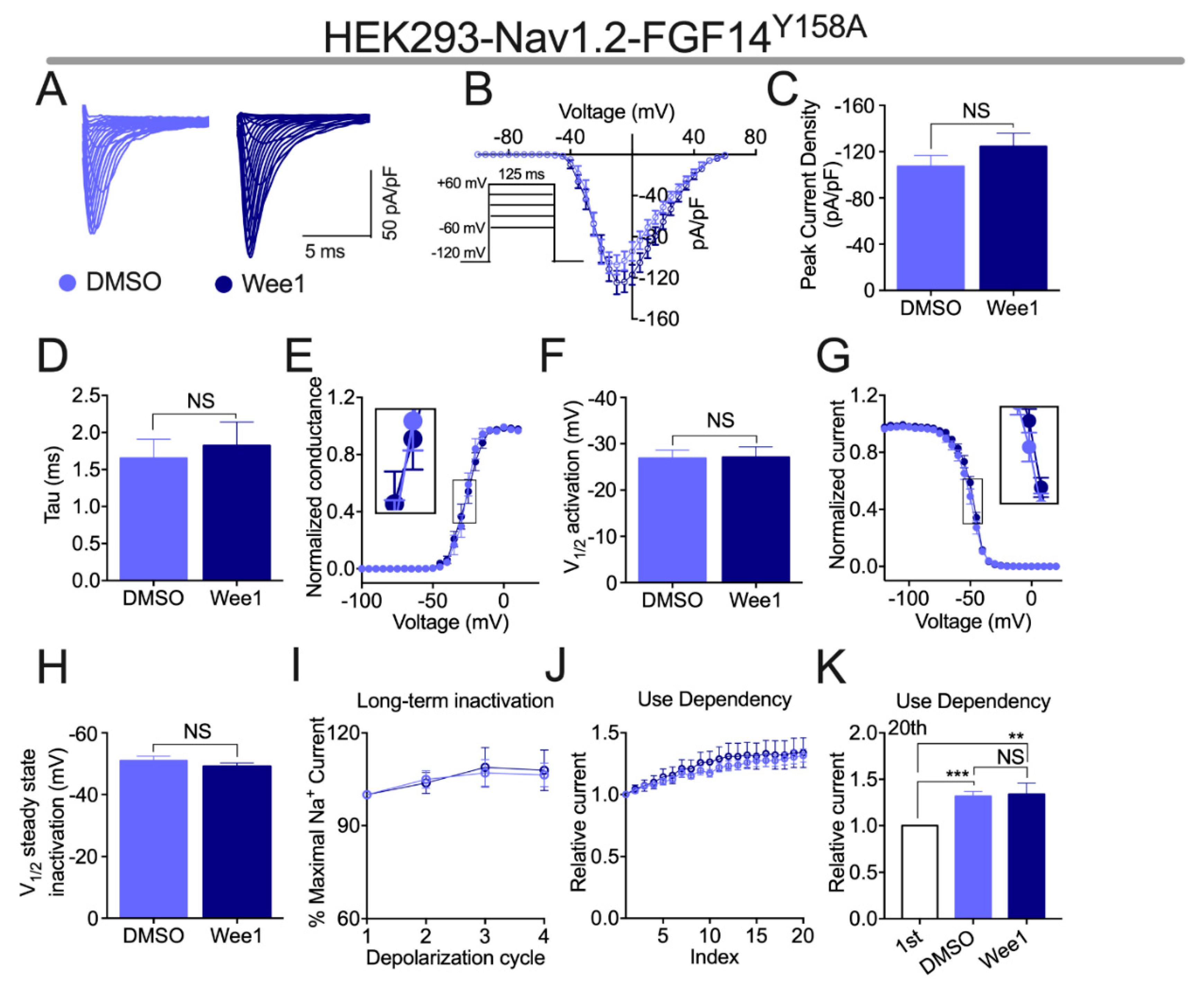 Cells 10 03103 g003 Cells 10 03103 g003