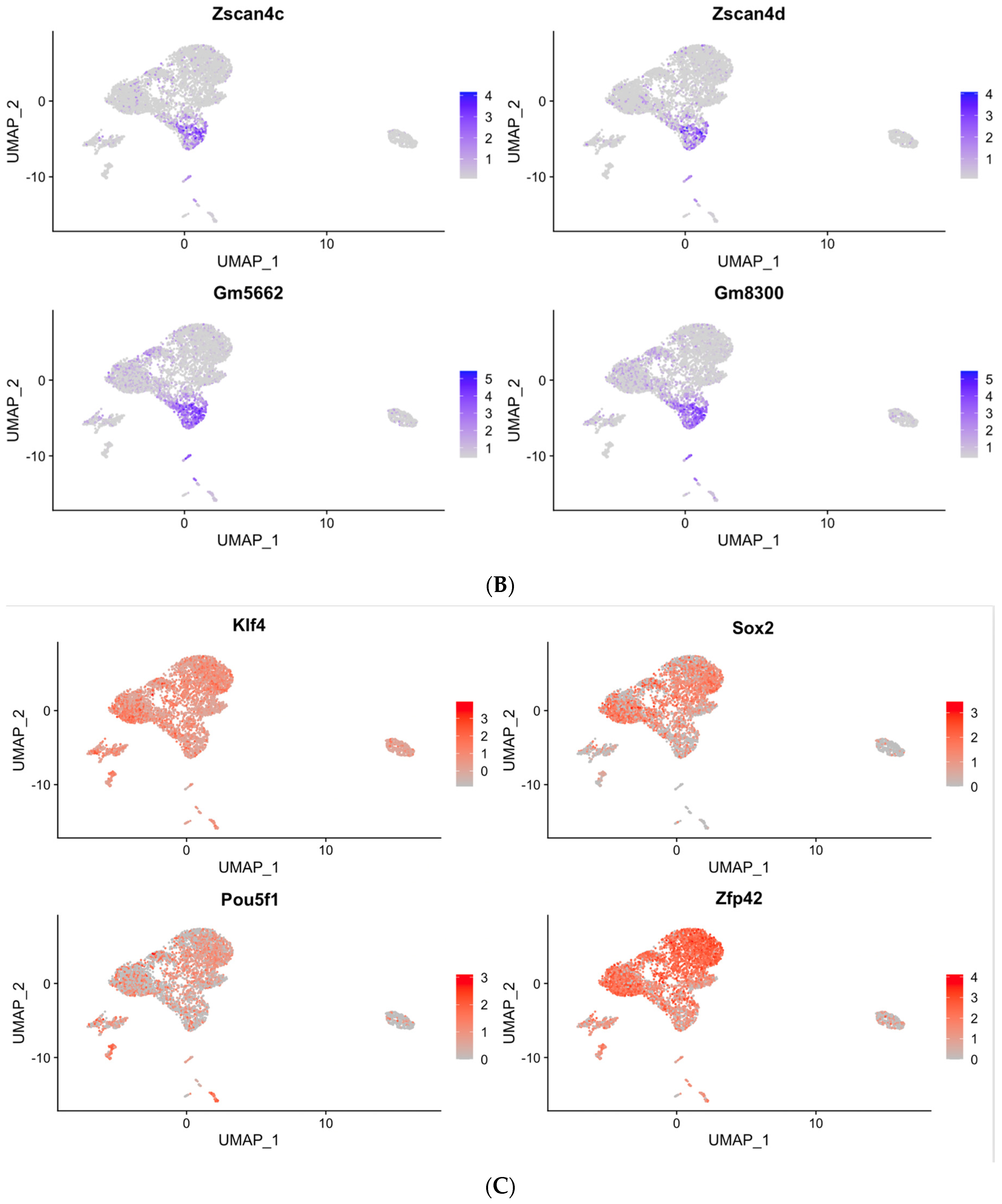 Cells 10 03111 g006b