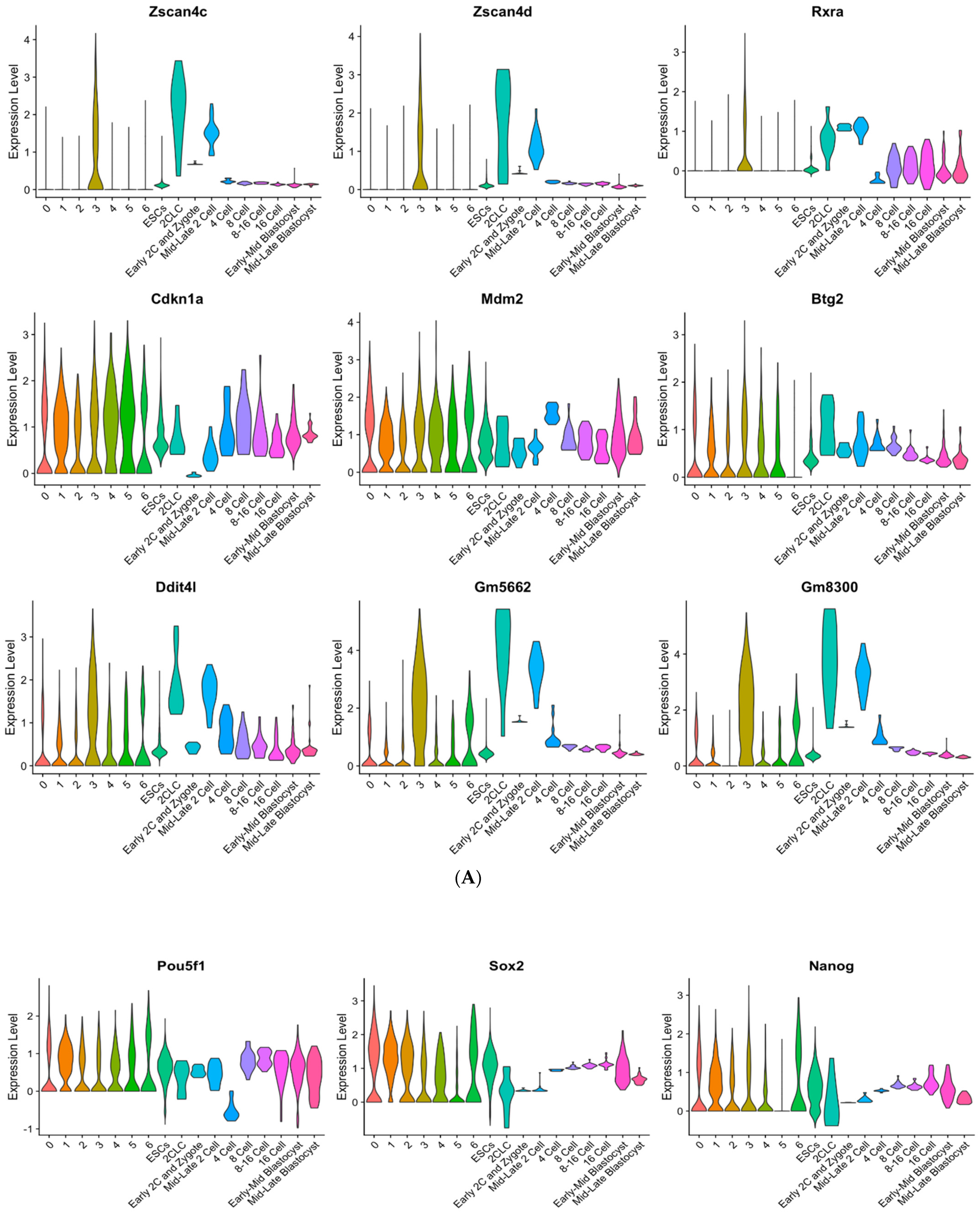 Cells 10 03111 g007a