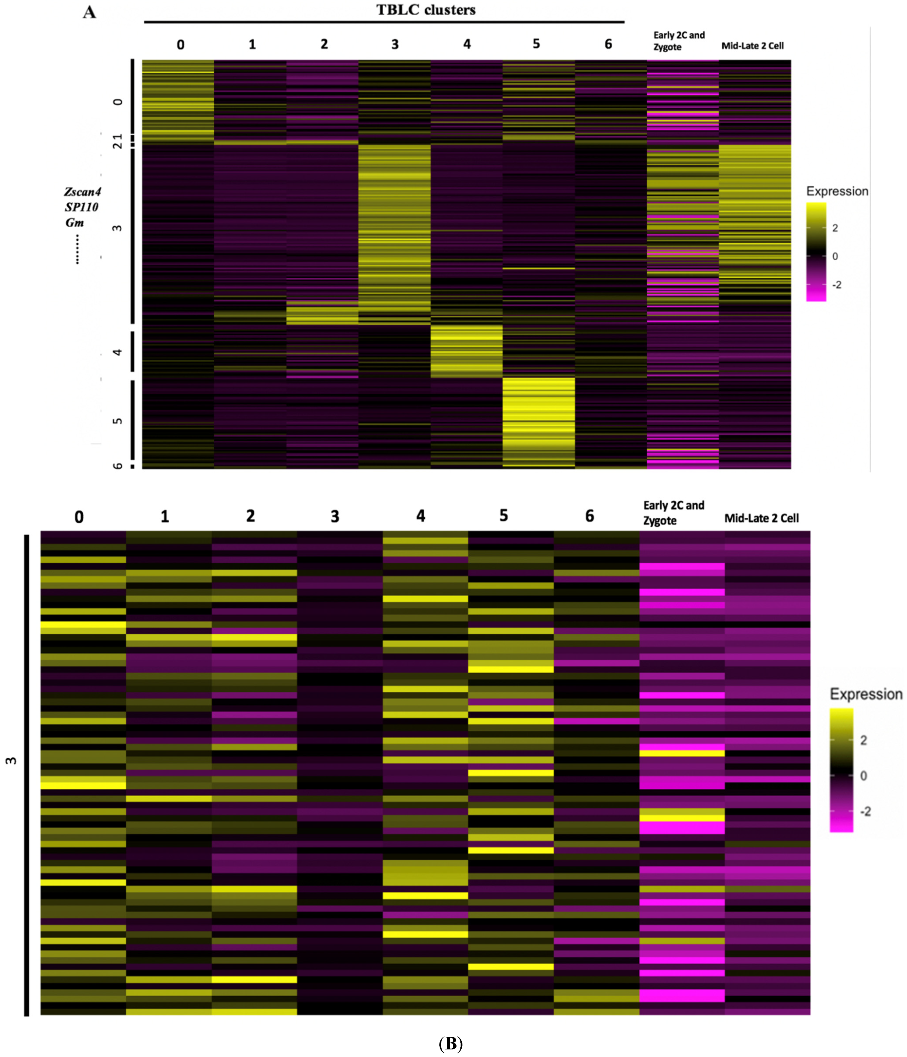 Cells 10 03111 g008a